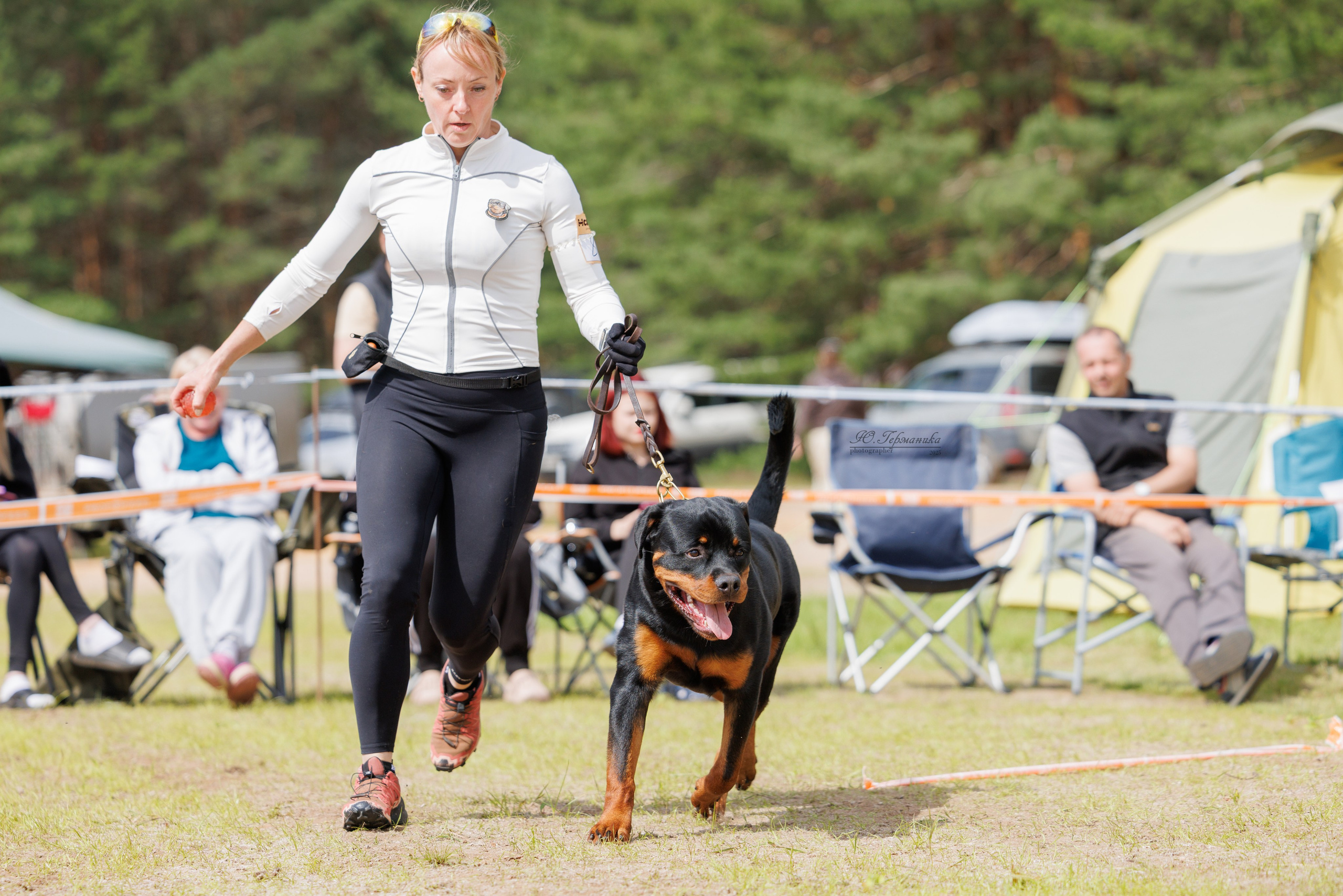 Тверь ротвейлеры 5-6.07.2025. Фотограф-анималист Юлия Германика