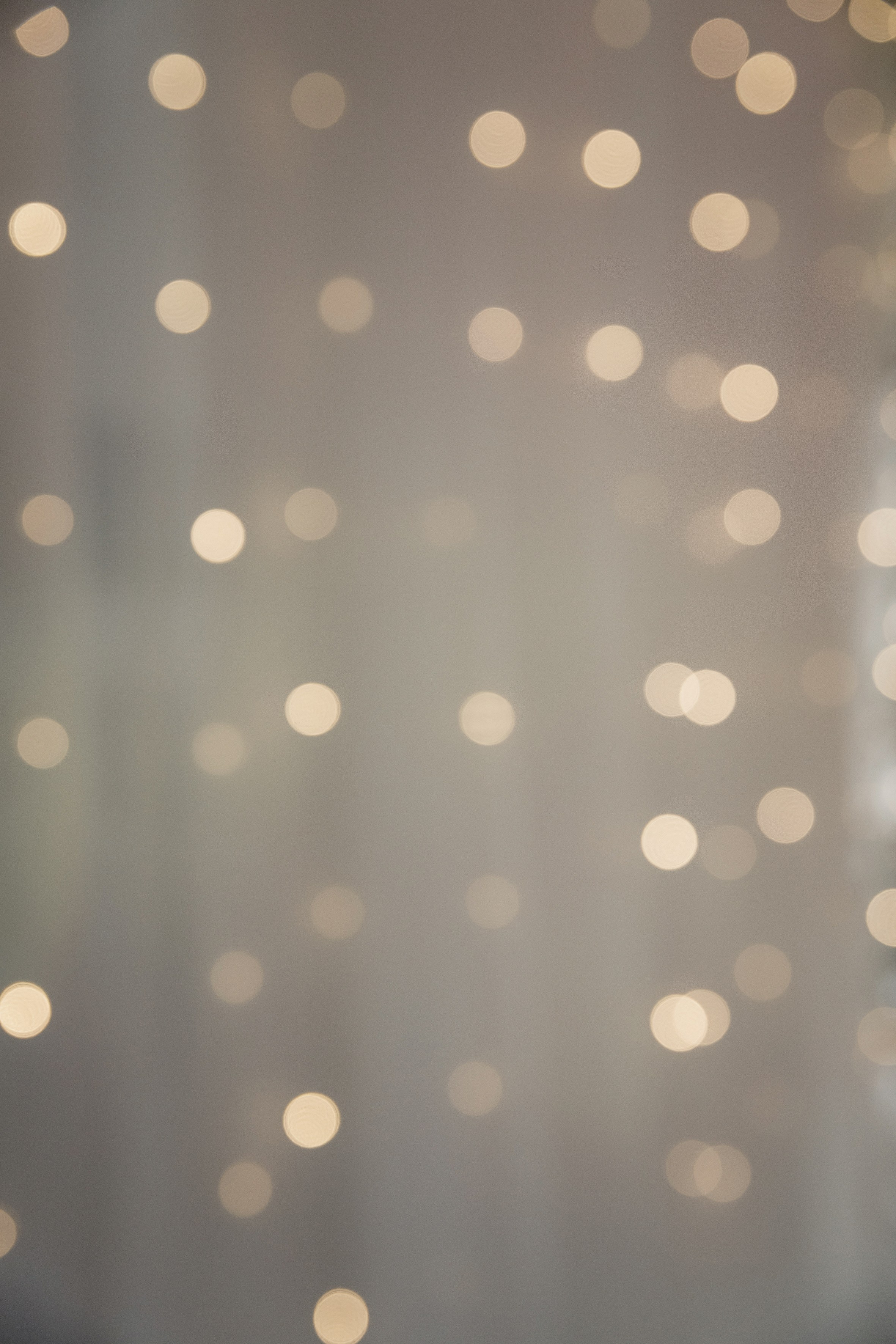 Евгений и Анастасия. Свадебный фотограф Татьяна Аберле свадебный видеограф Роман Аберле Калининград