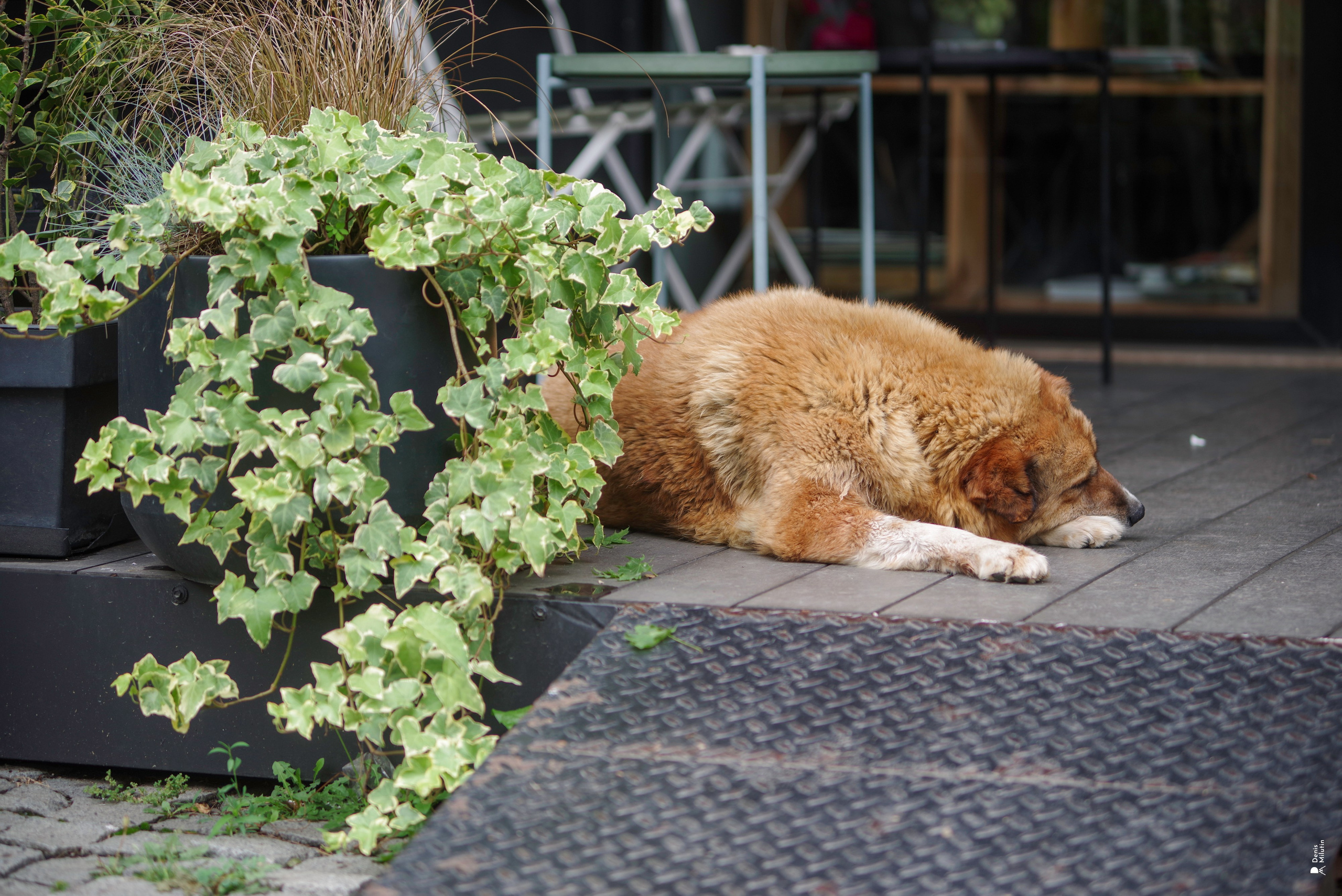 Batumi. Портретный фотограф Денис Милютин