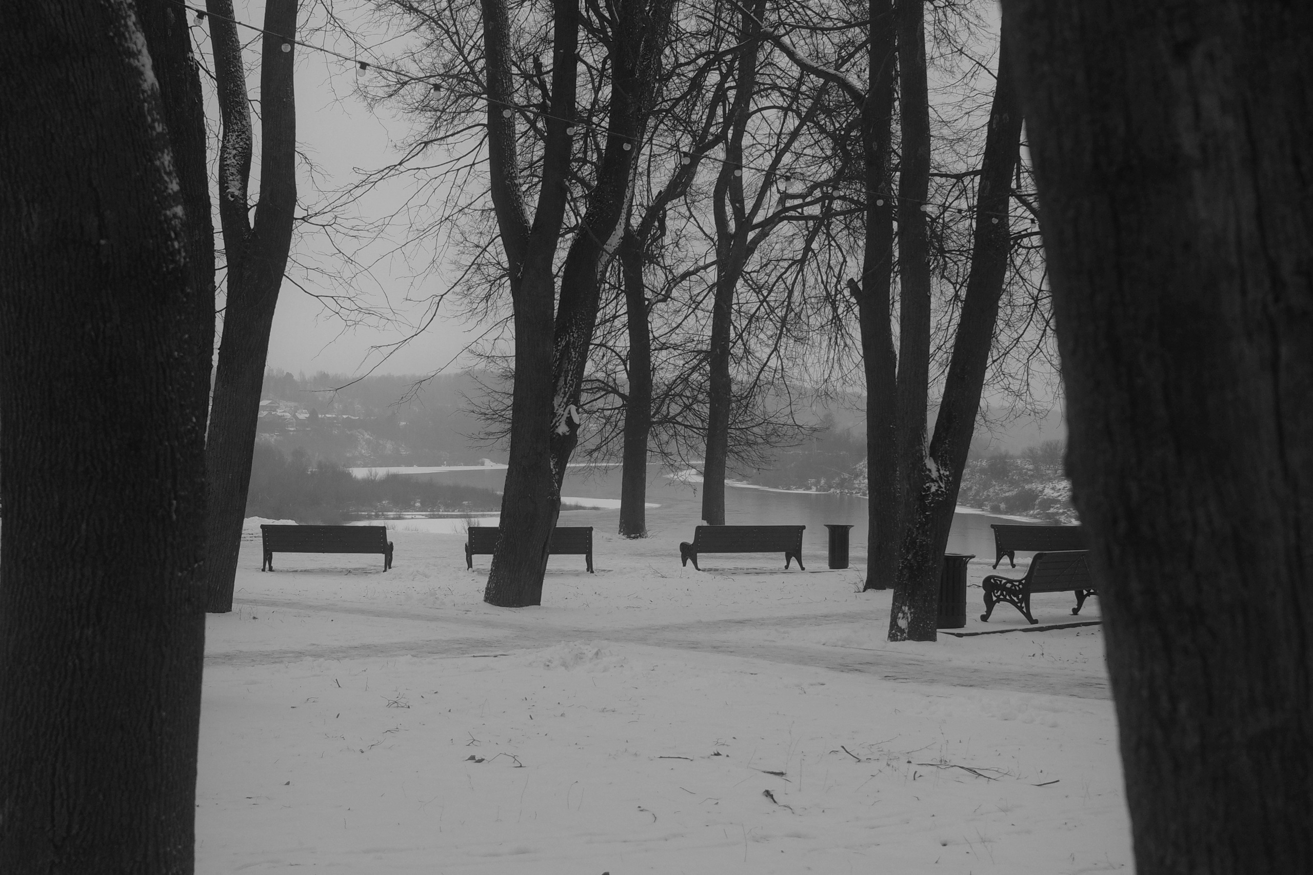 — 2025. Фотограф Злата Спицына