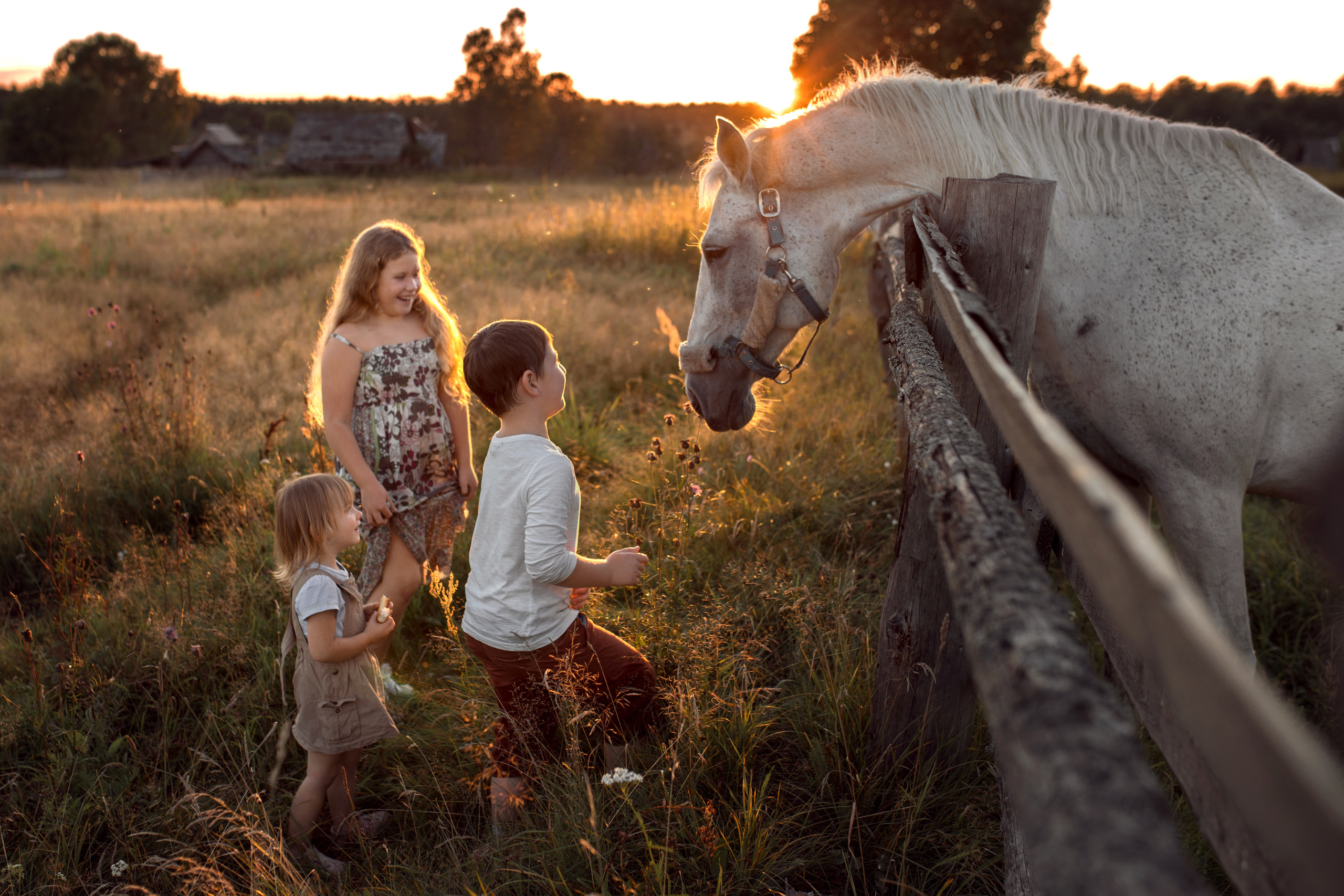 Фотосессия на природе. Домашний и семейный фотограф, Крещение и Венчание Тверь Калинина Юлия
