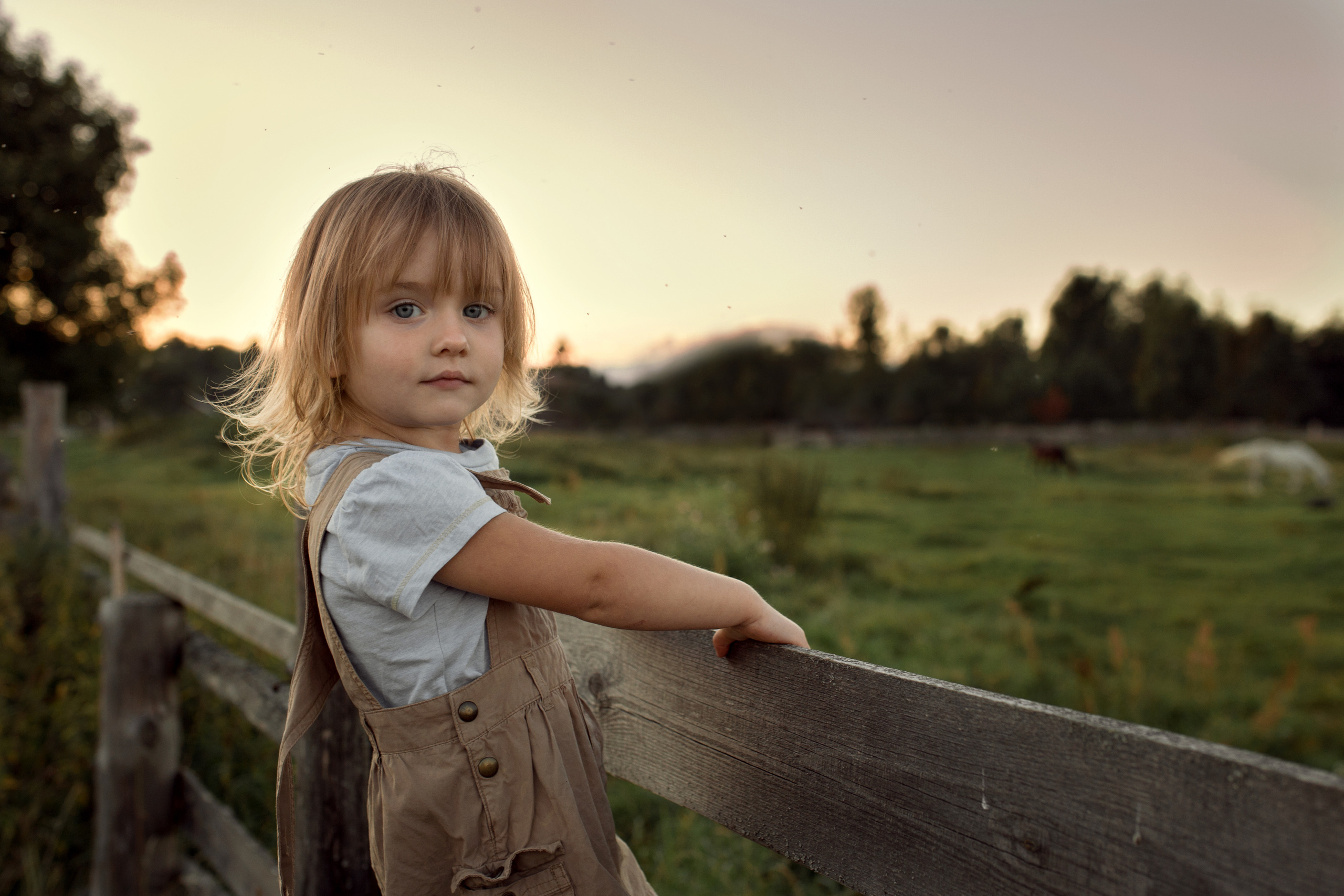 Фотосессия на природе. Домашний и семейный фотограф, Крещение и Венчание Тверь Калинина Юлия