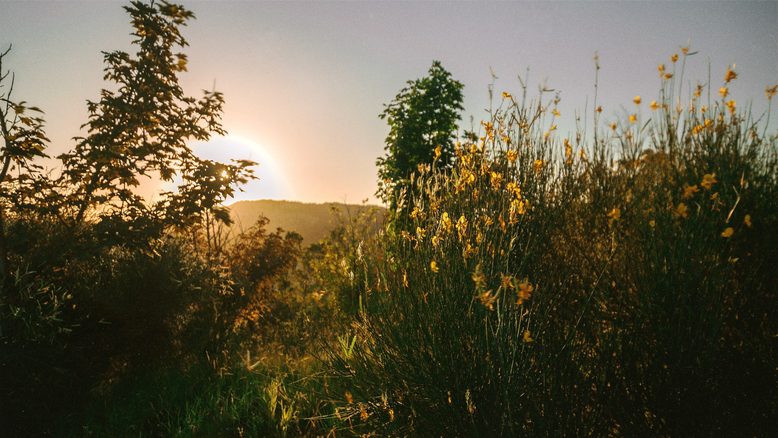 N a t u r e. Your photographer