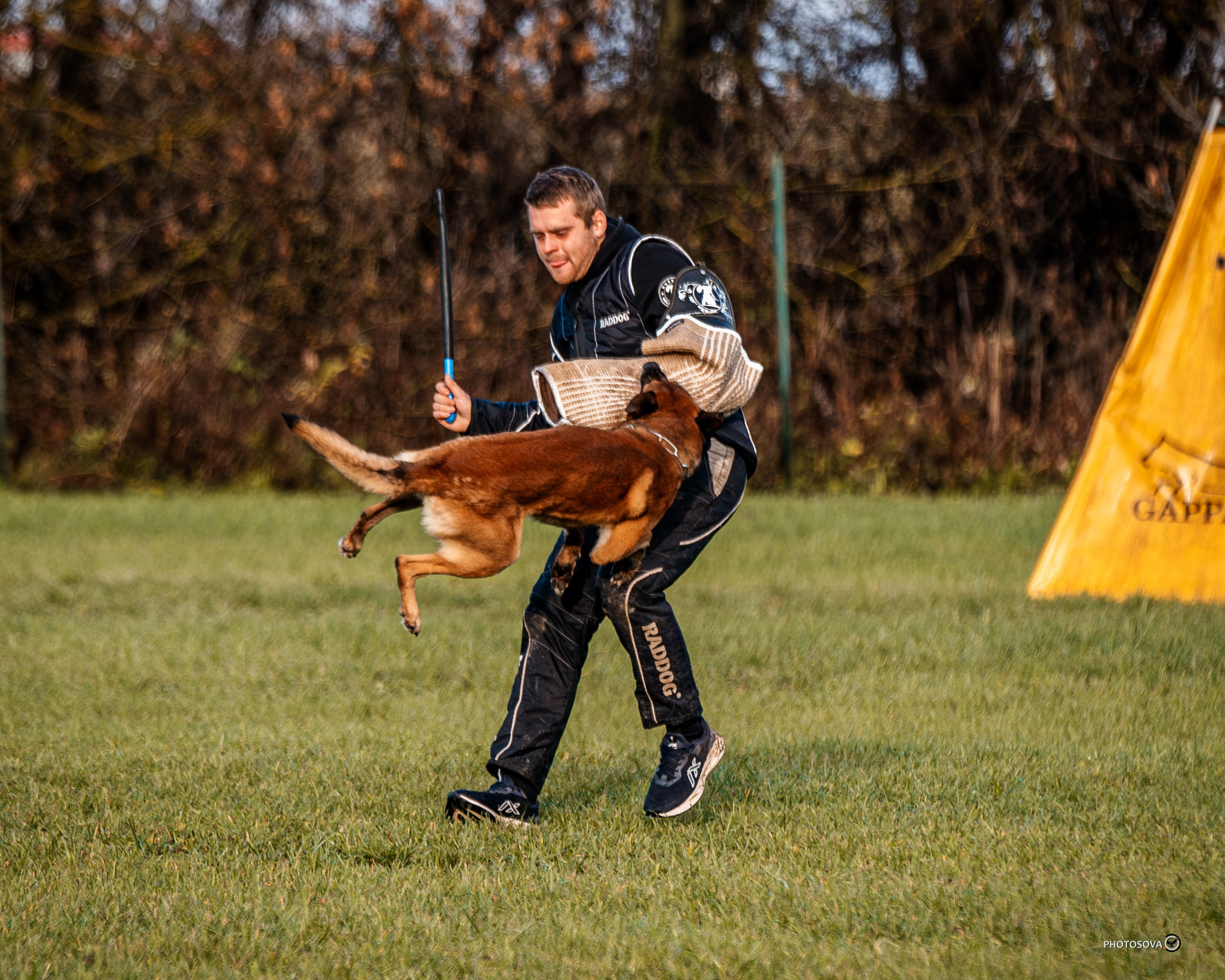 МЫ — КОМАНДА (соревнования) OKD, BH, IBGH, IGP. Фотограф-анималист, семейный фотограф в Москве и Подмосковье. Фотосъёмка кинологических дисциплин