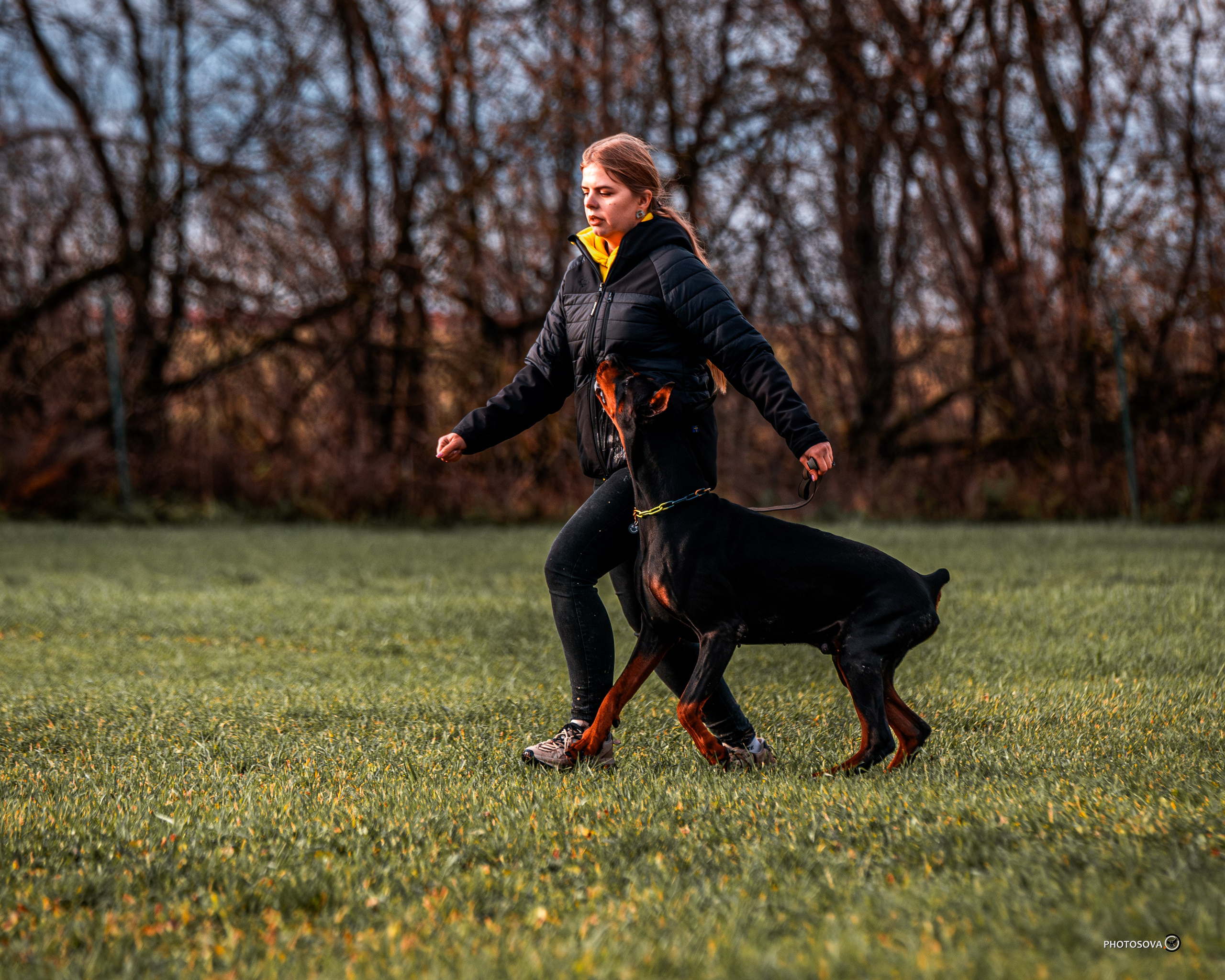 МЫ — КОМАНДА (соревнования) OKD, BH, IBGH, IGP. Фотограф-анималист, семейный фотограф в Москве и Подмосковье. Фотосъёмка кинологических дисциплин