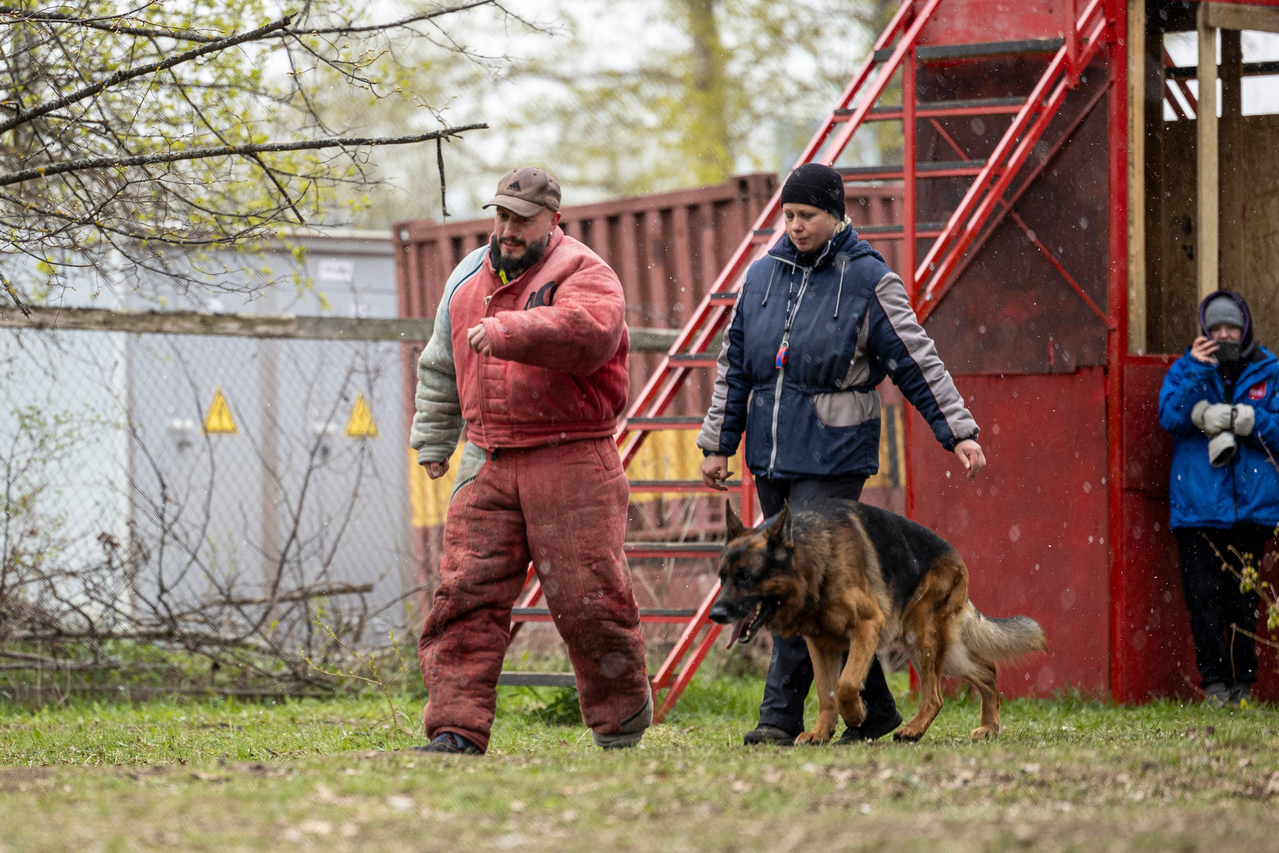 Квалификационные состязания по мондьорингу г. Вологда 11.05.24. Фотограф-анималист Анна Маринич