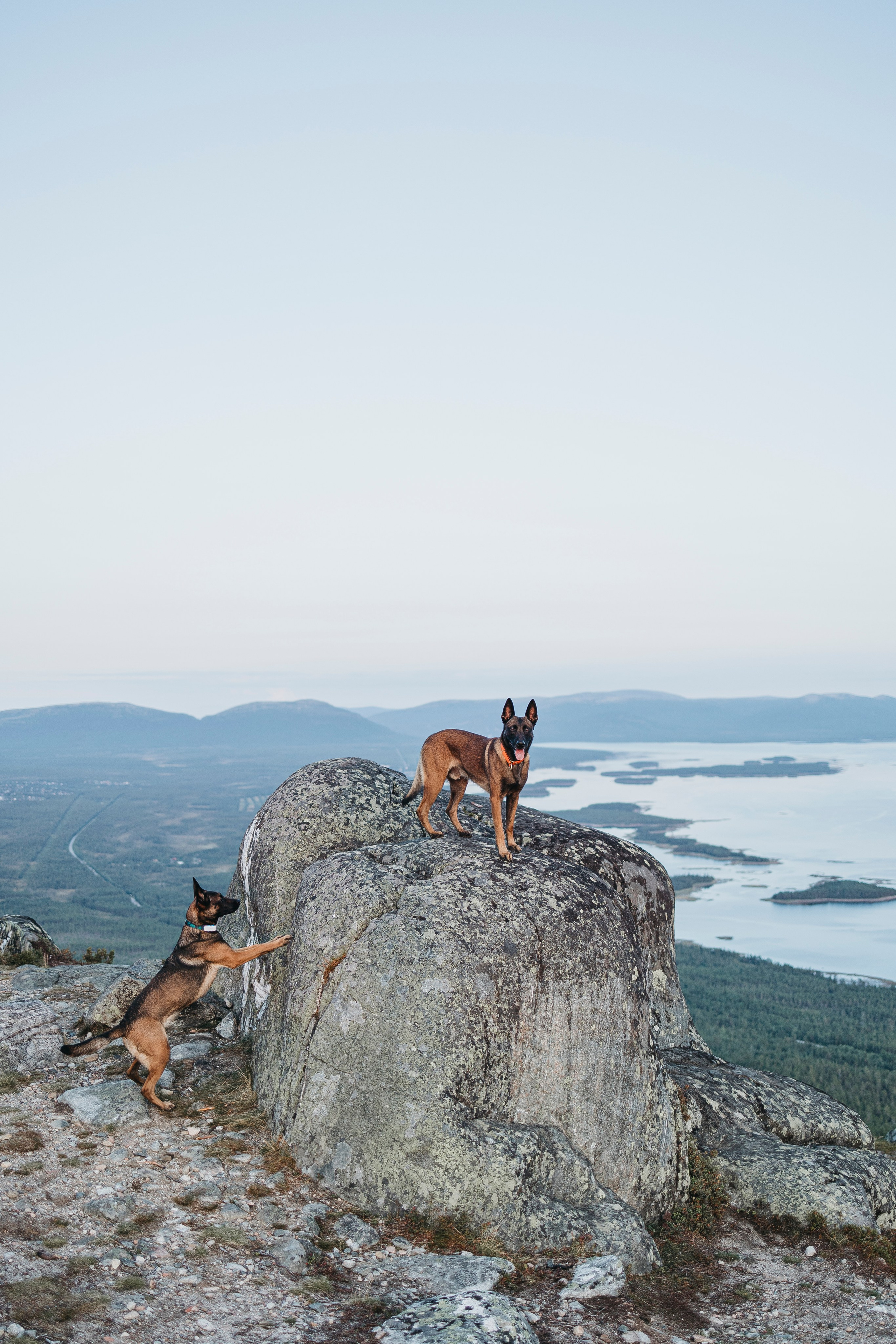 Горы. Фотограф-анималист Анна Маринич