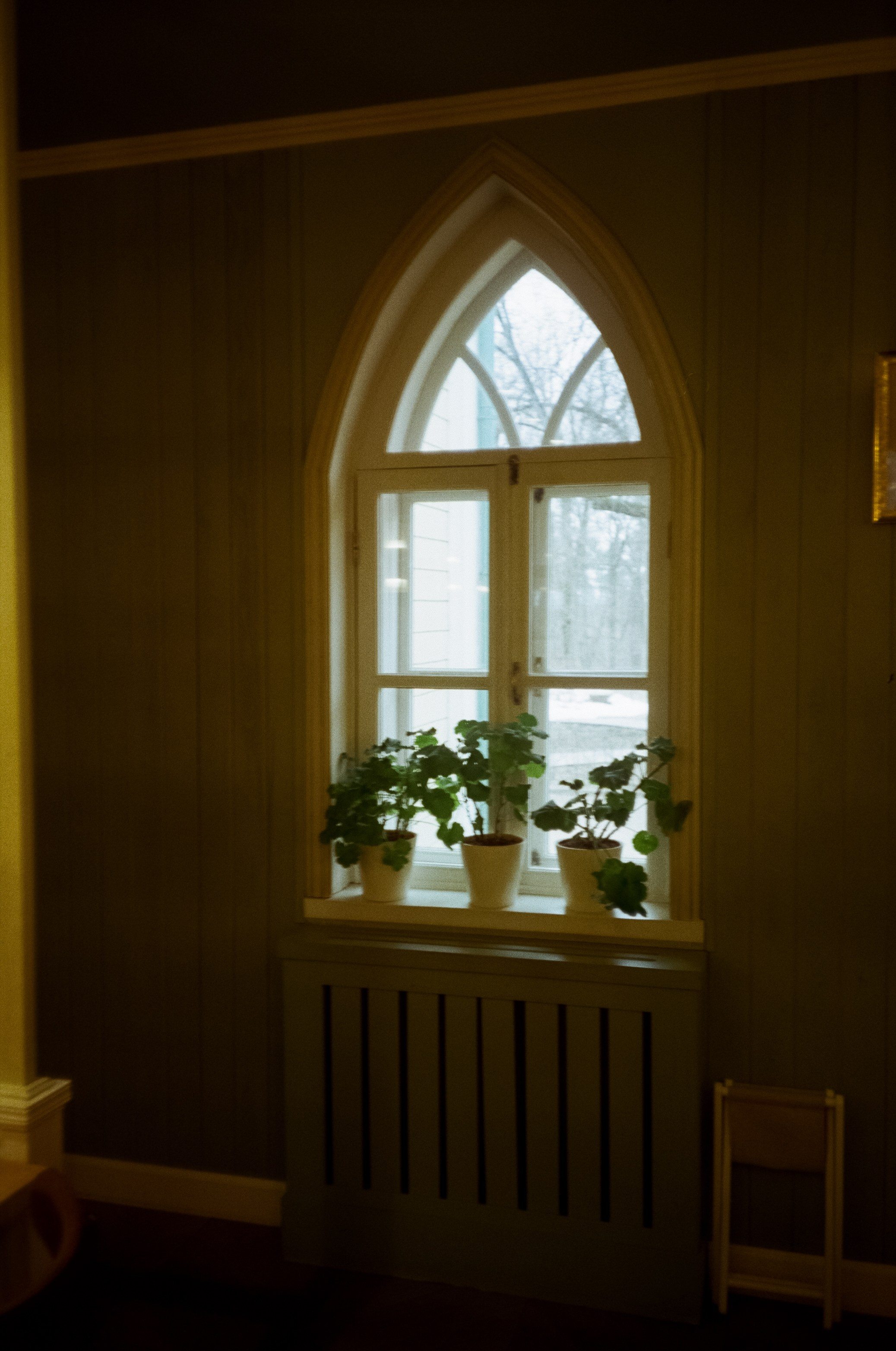 Архангельское. Пасмурный апрель. Фотограф-документалист Мария Осокина