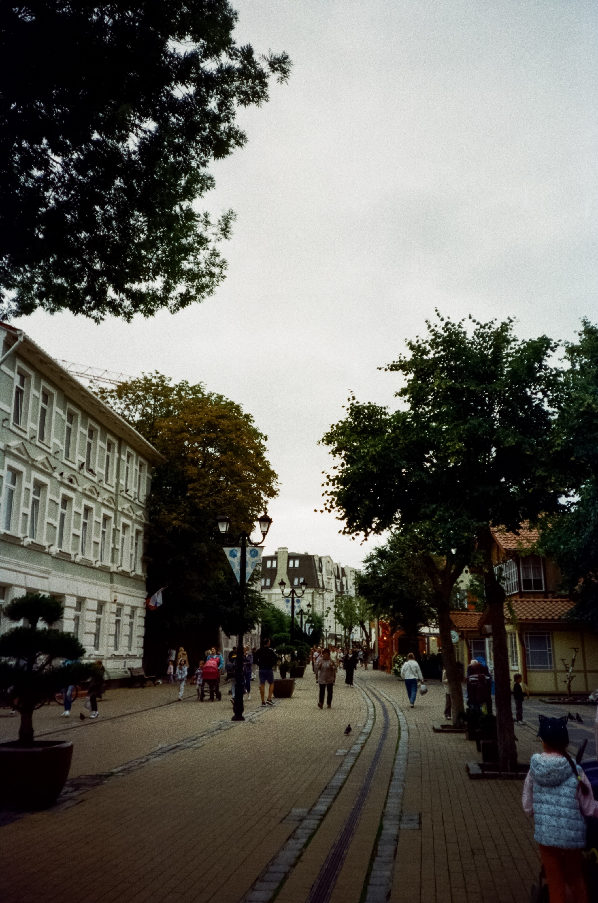 Курортный проспект и коты Зеленоградска, маяк и Safe Coffee. Фотограф-документалист Мария Осокина