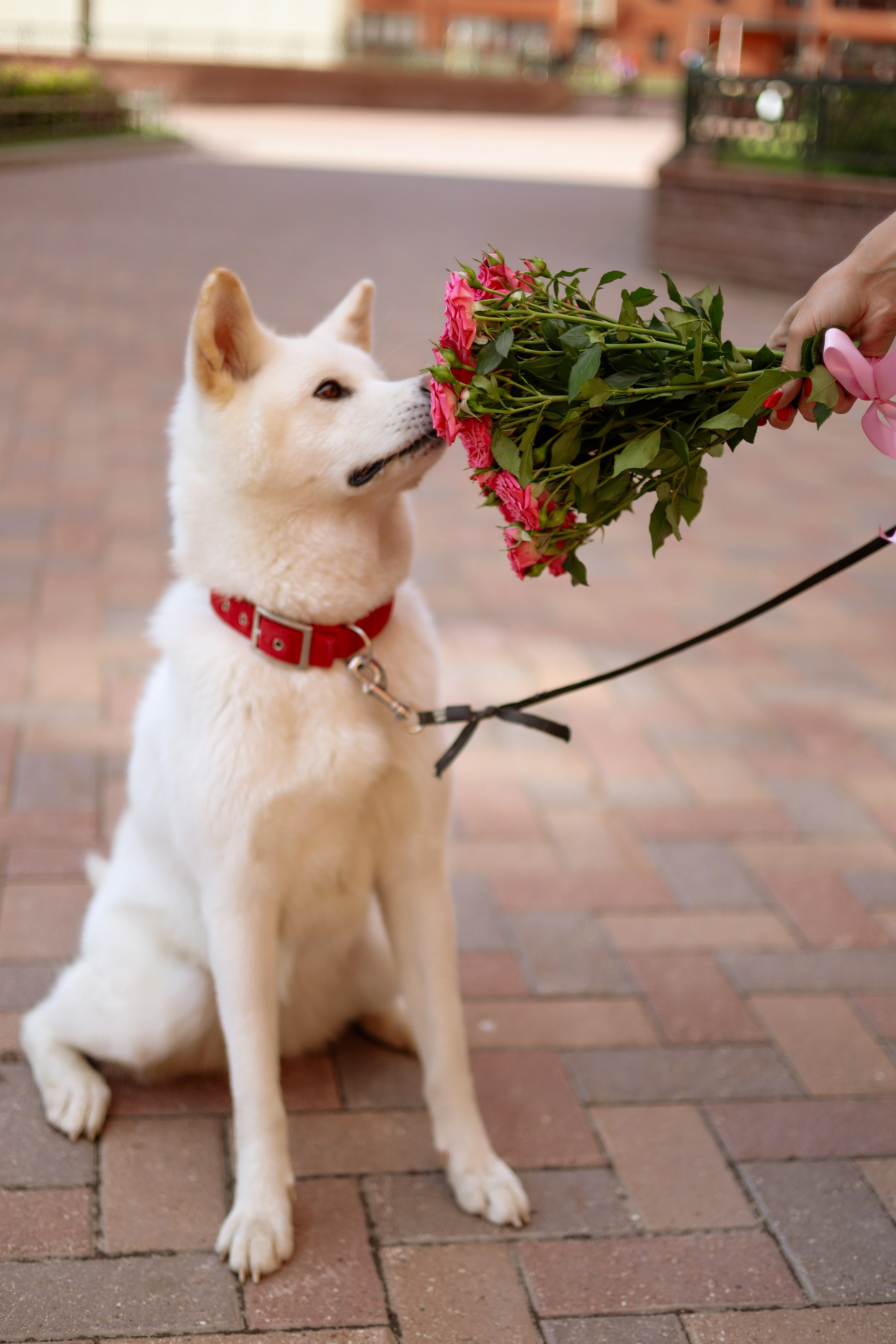 M&P. Photographer Tatiana Ivanova in Yaroslavl