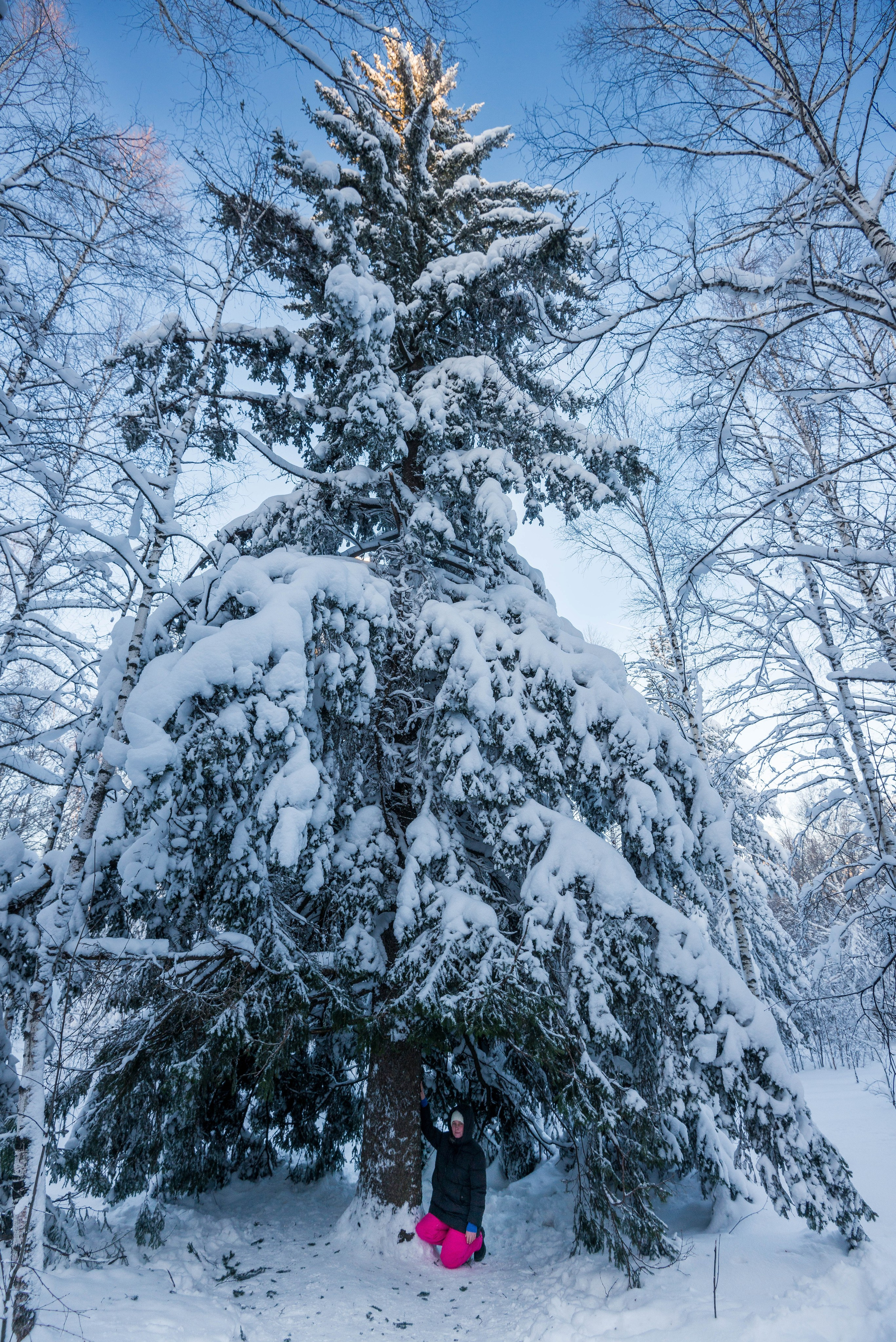 Таганай Семибратка, Парк Бажова, ледяной фонтан 06.01.2024. Свадебный фотограф на Урале Виктор Соколов