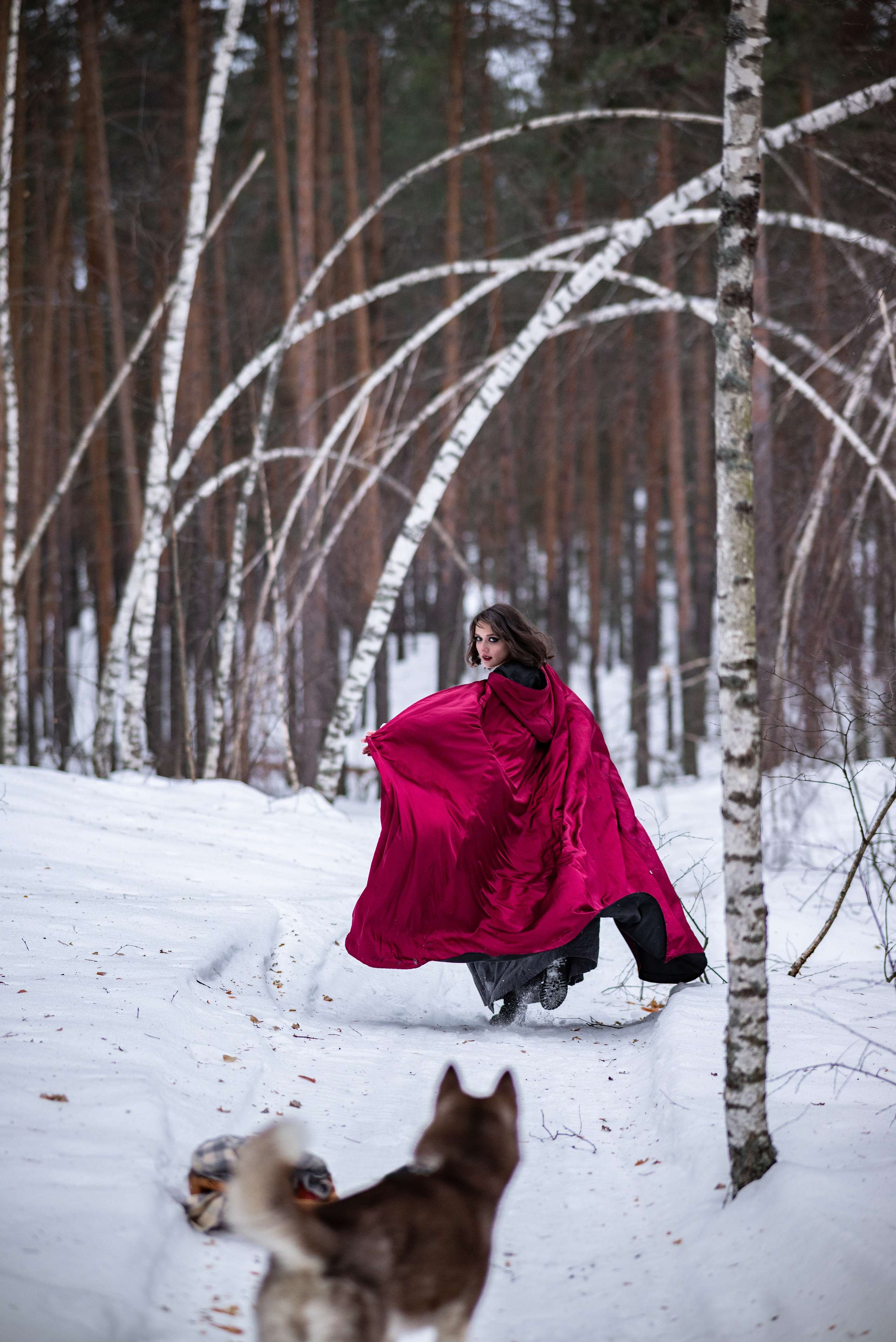 Творческий проект «Красная шапочка». Свадебный и семейный фотограф в Дзержинске Екатерина Шулакова