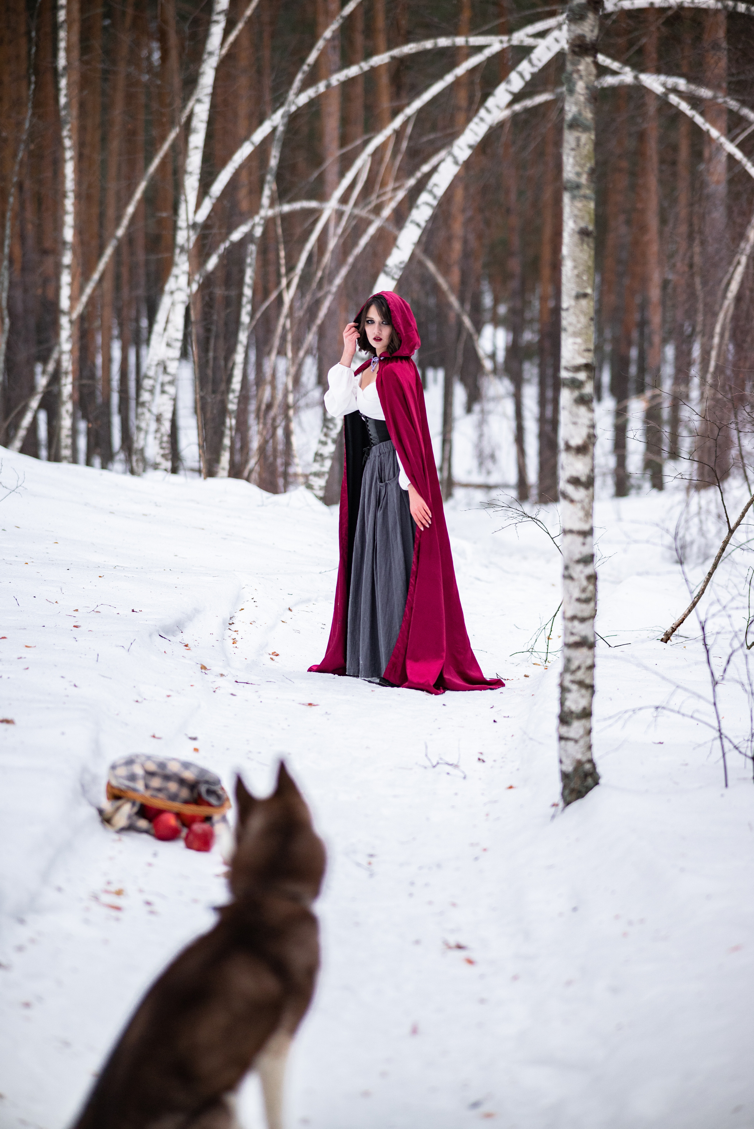 Творческий проект «Красная шапочка». Свадебный и семейный фотограф в Дзержинске Екатерина Шулакова