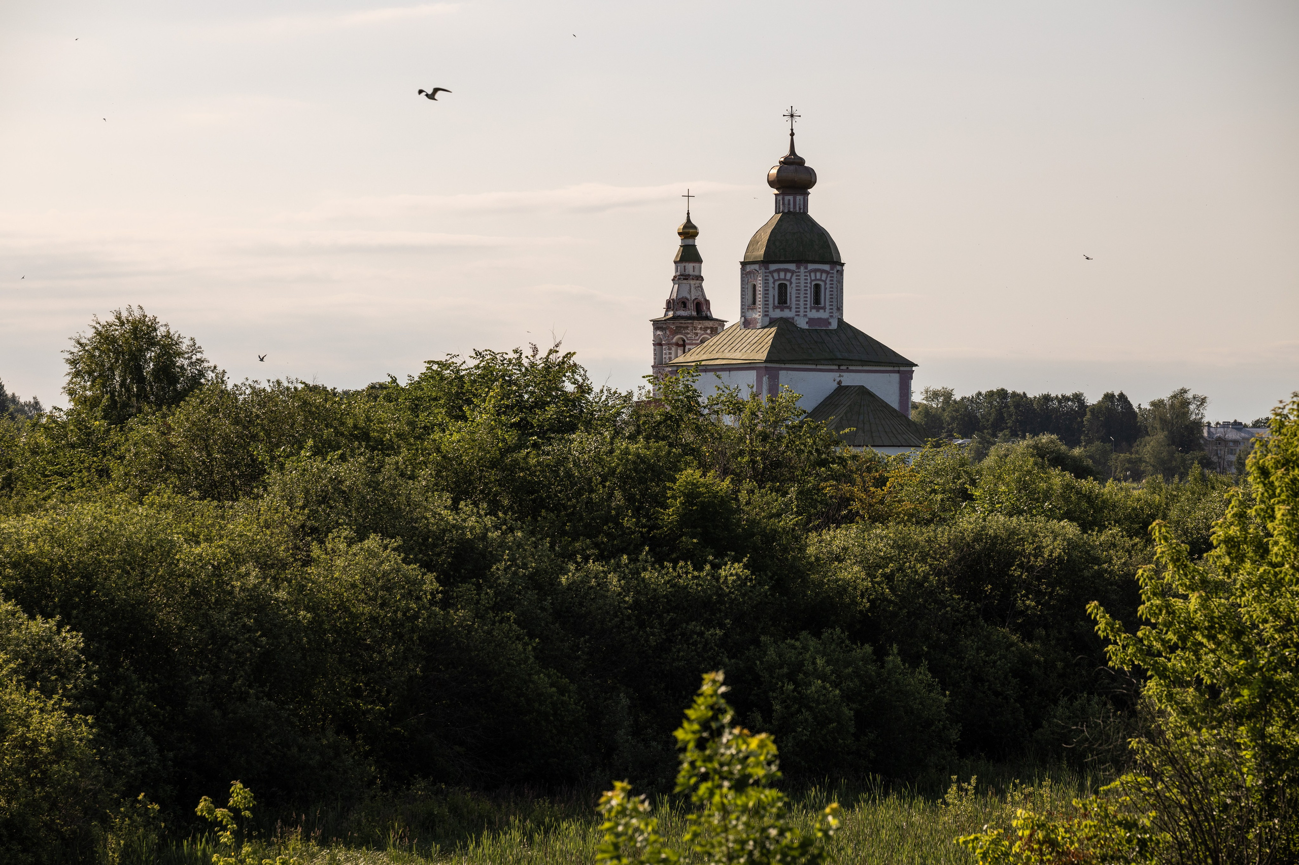 Природные пейзажи. Наталия Клевинскас портретный фотограф в Костроме