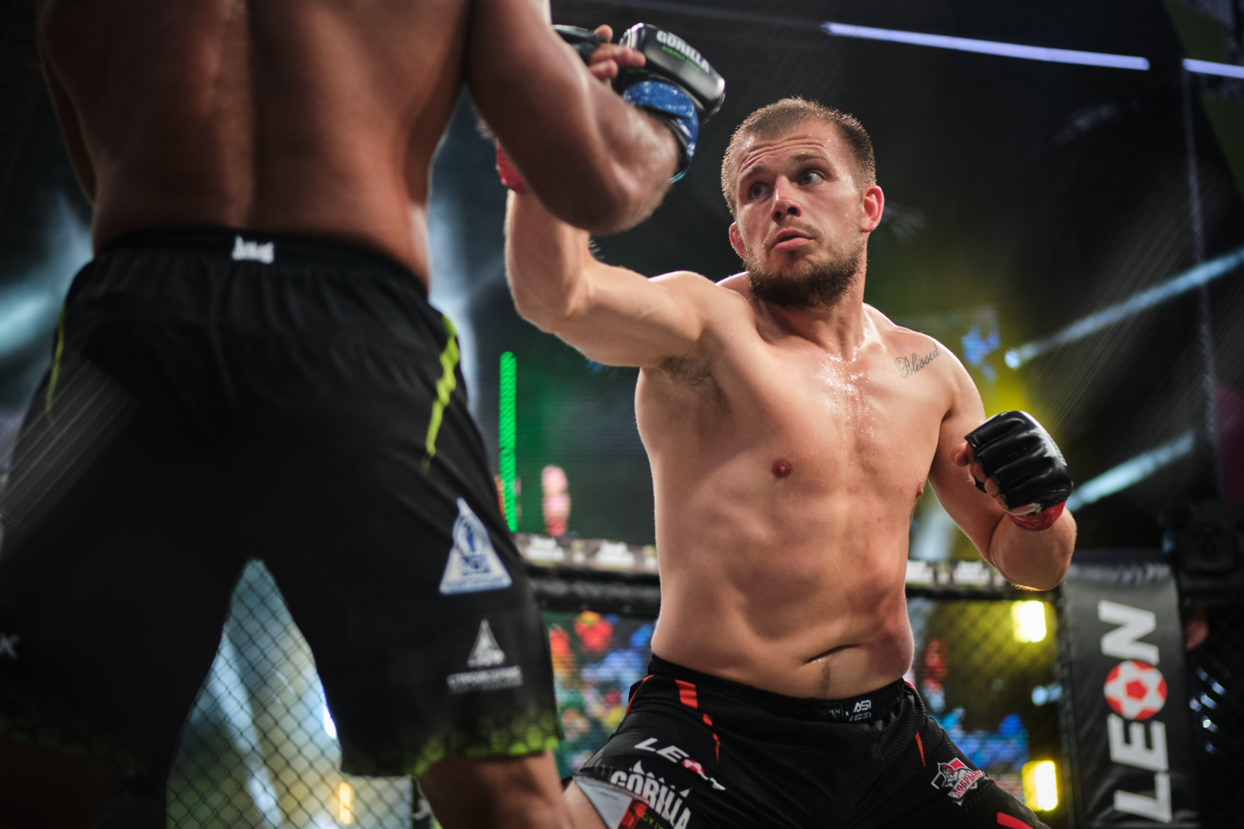 ММА на ПРО ГЕШ. Свадебный и семейный фотограф в Новокузнецке Иван Иванов