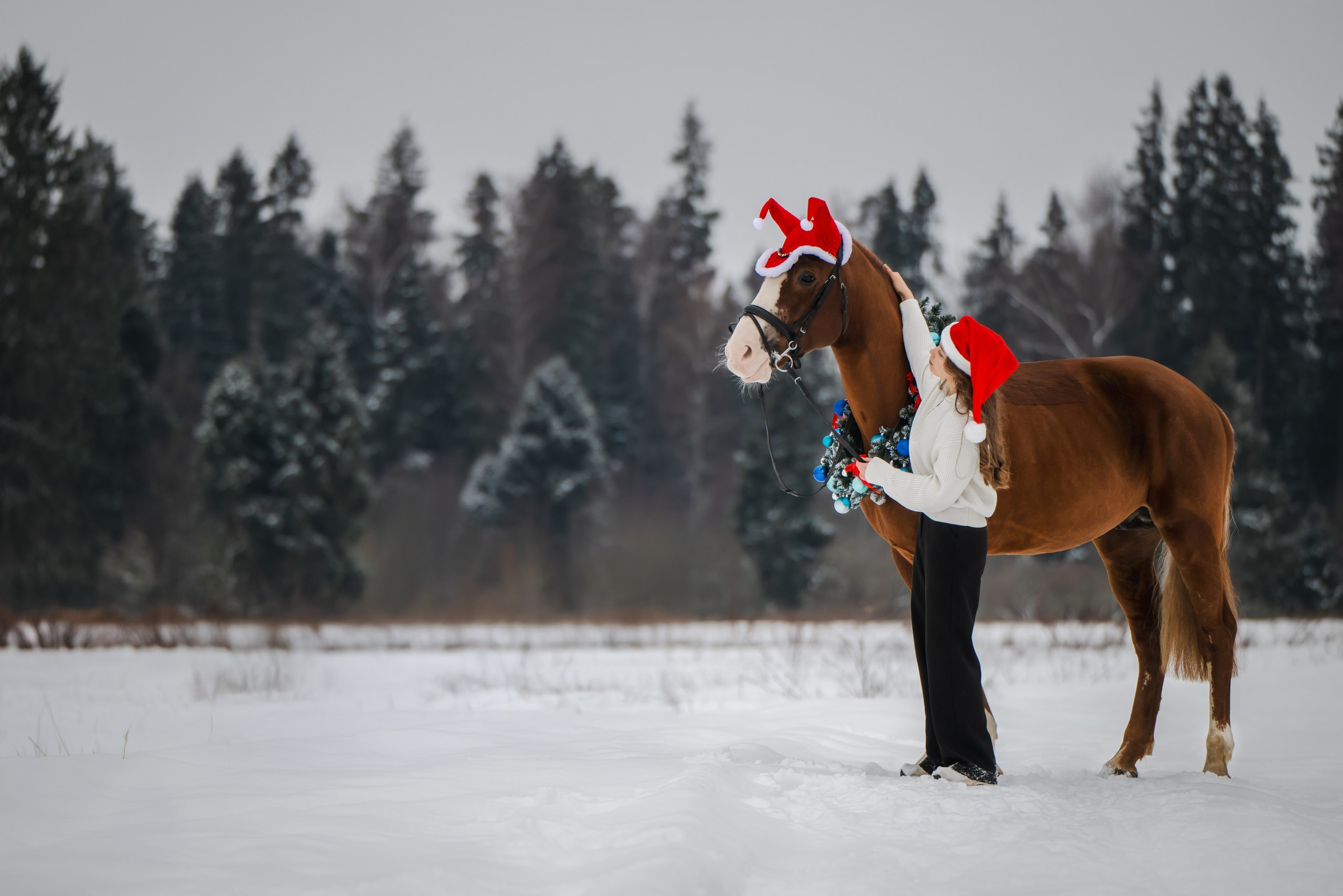 Виктория и Лео. Фотограф Анималист в Москве Анастасия Жучкова