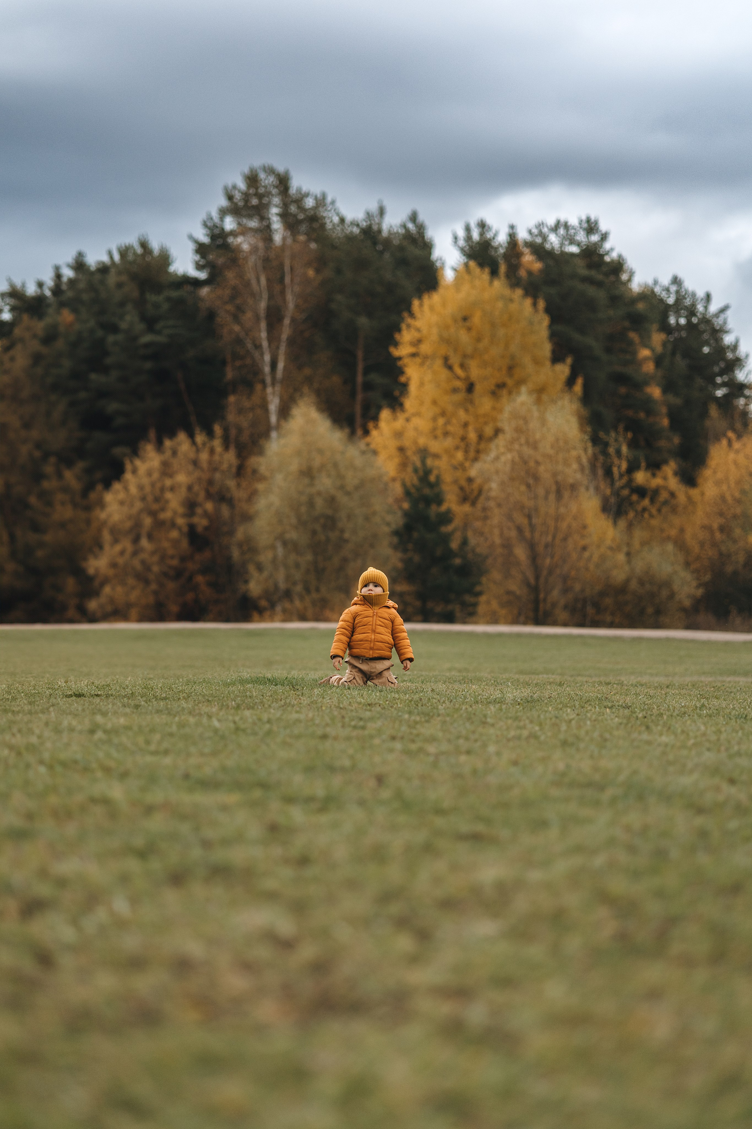 Осенняя семейная съемка. Фотограф Анималист в Москве Анастасия Жучкова