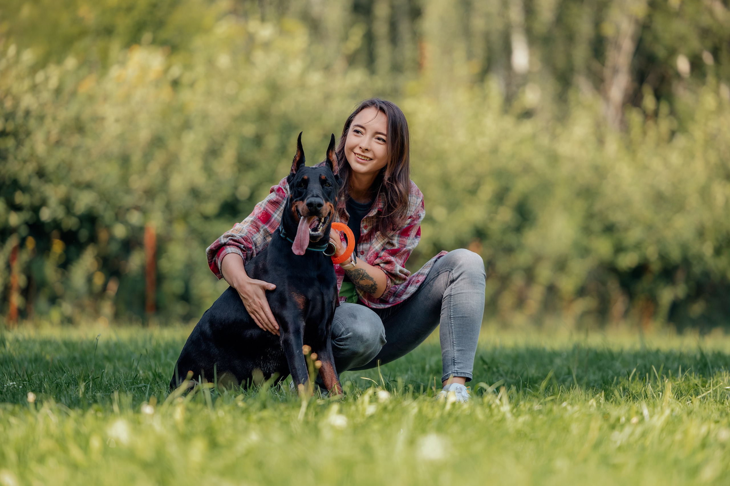 Доберман Айза. Фотограф Анималист в Москве Анастасия Жучкова