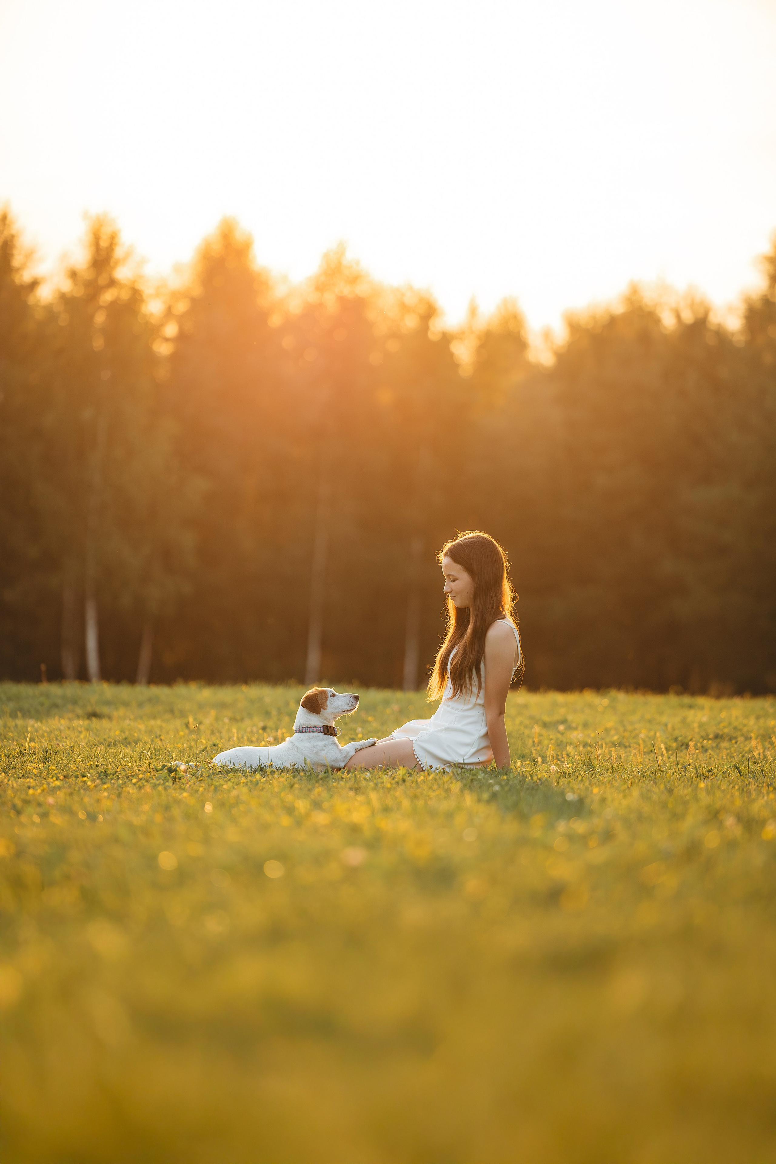Юлиана и Риф (в обработке). Фотограф Анималист в Москве Анастасия Жучкова