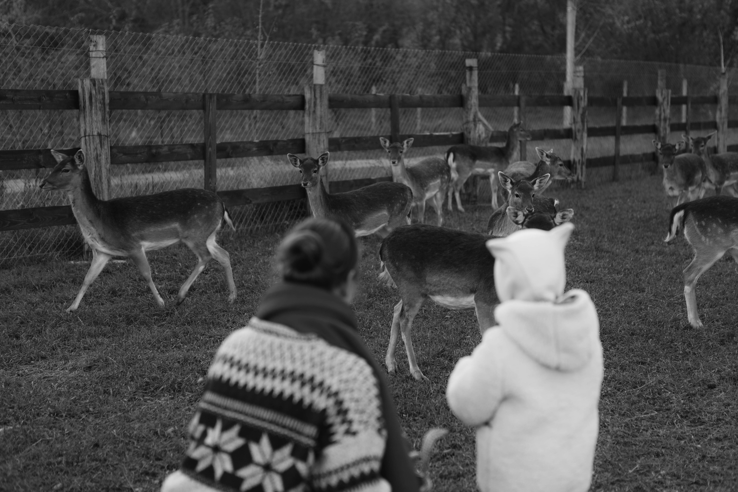 Чудесная девочка Майя и её родители. Фотограф в Крыму Богдана Захарчук