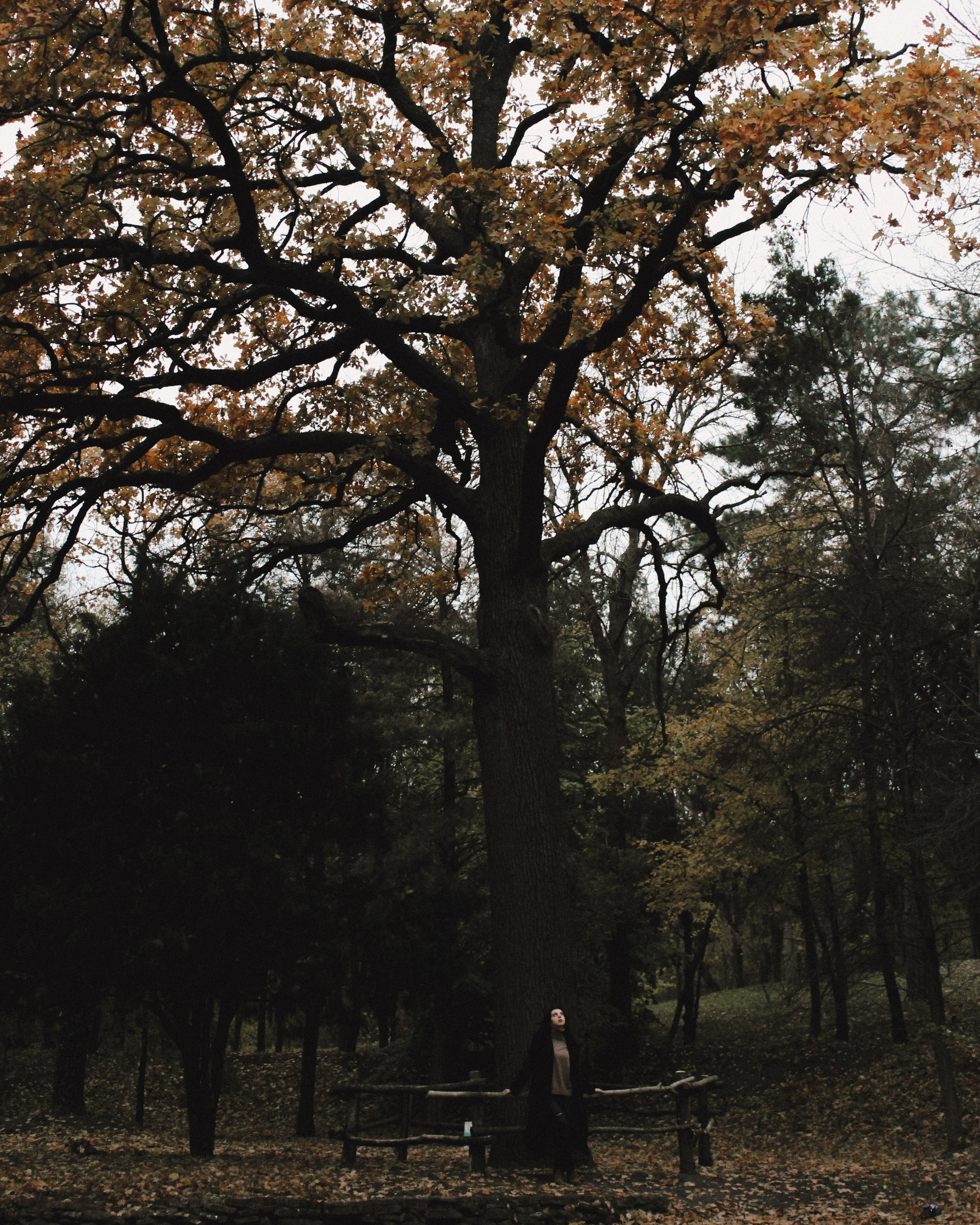 Индивидуальные (улица). Фотограф Ростов-на-Дону Яна Митина