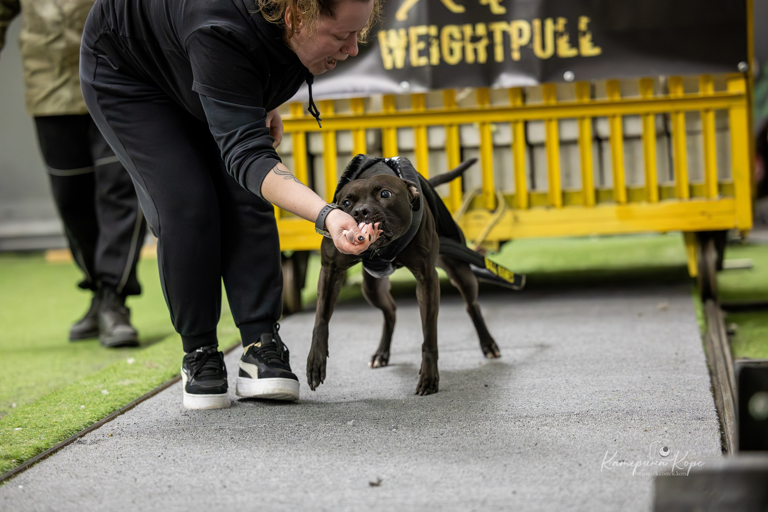 Спорт. Главная