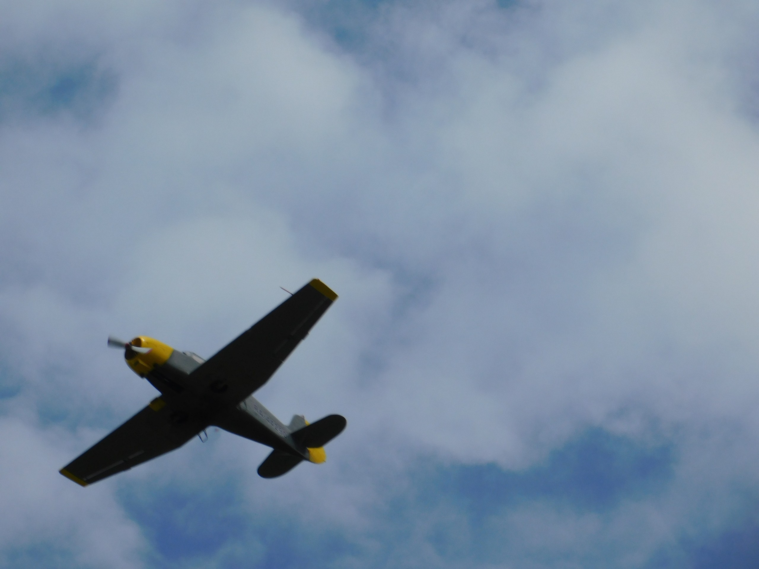 Чудеса на виражах. Полеты | 26.07.20. Галерея Фантим