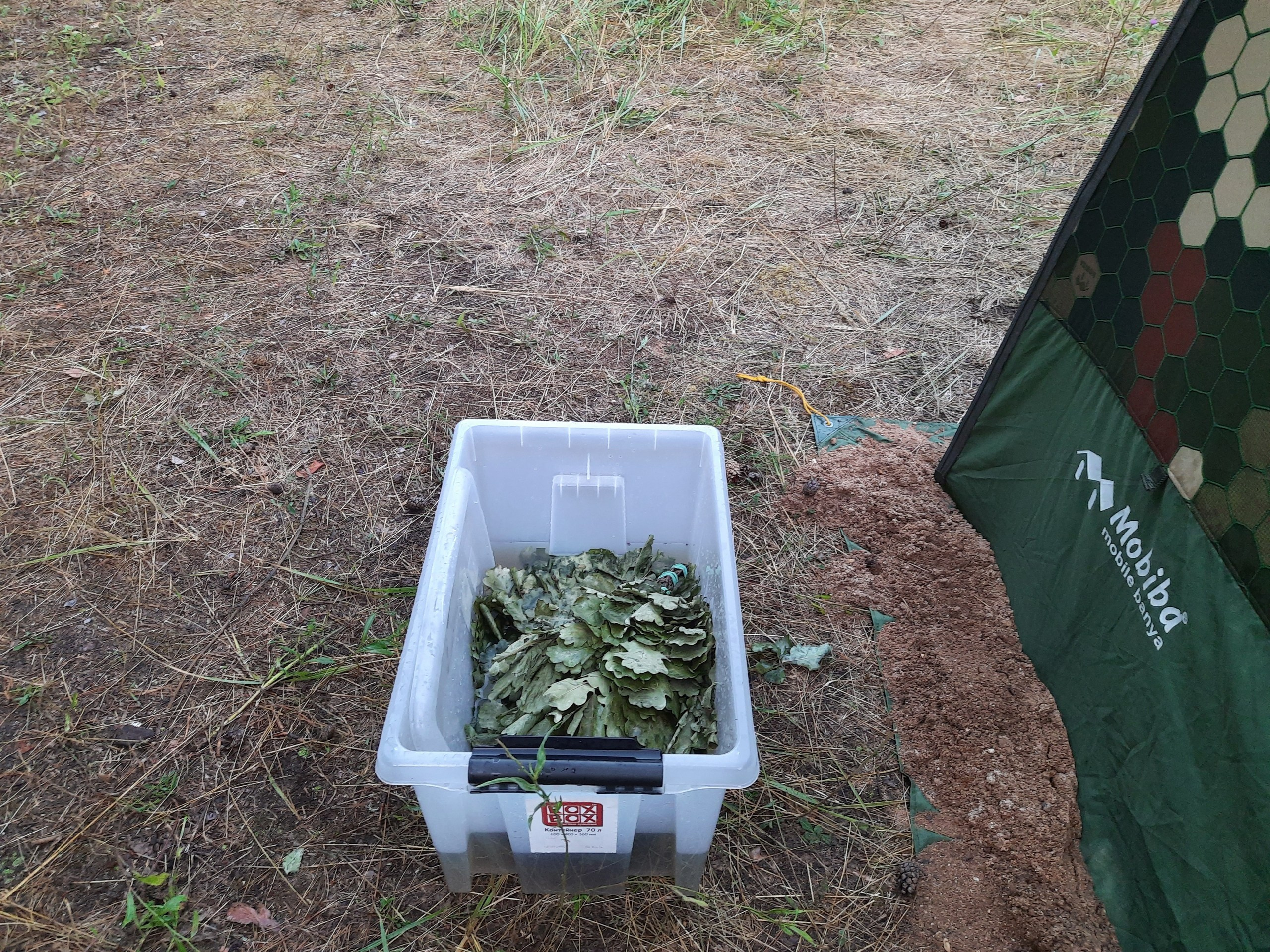 Походная Романтика 35. «Крепкие орешки» | 2021. Галерея Фантим