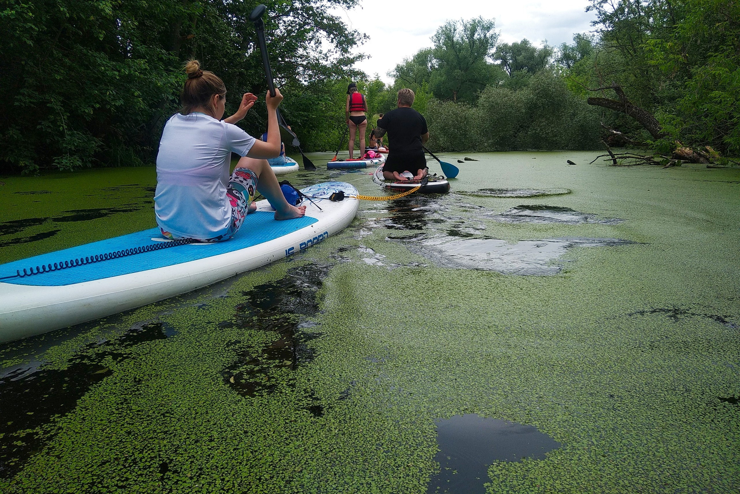Сплав на сапах | 16.06.2024. Галерея Фантим