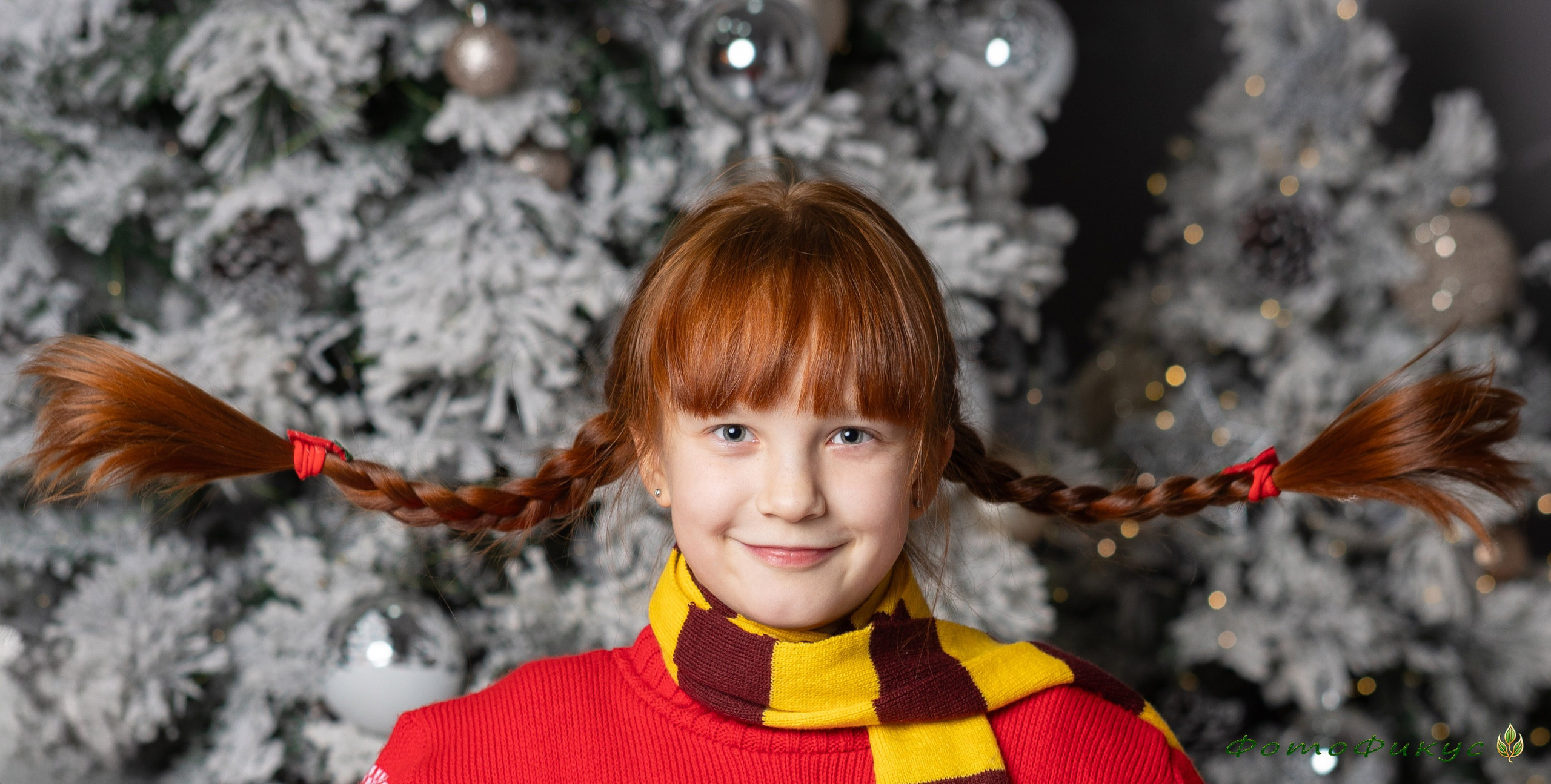 Новогодние. Фотографы Евгений и Екатерина. Фотофикус. Тюмень