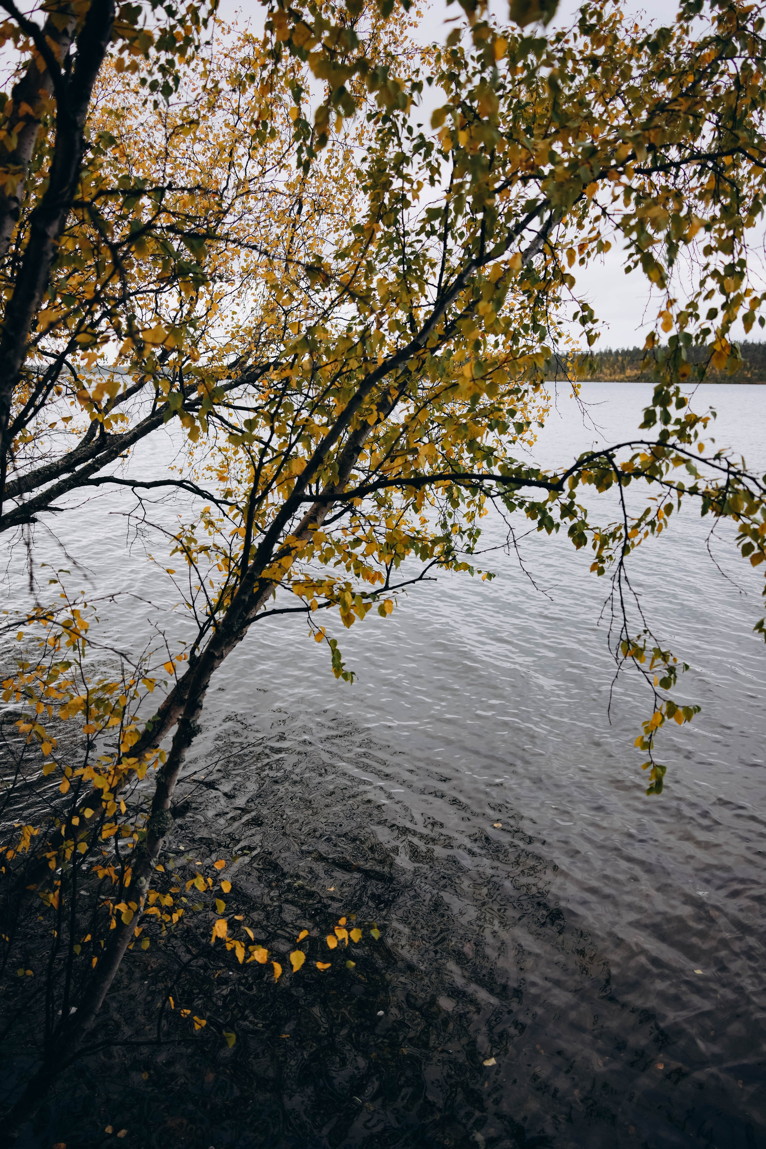 СЕВЕР. Event фотограф Степанова Александра