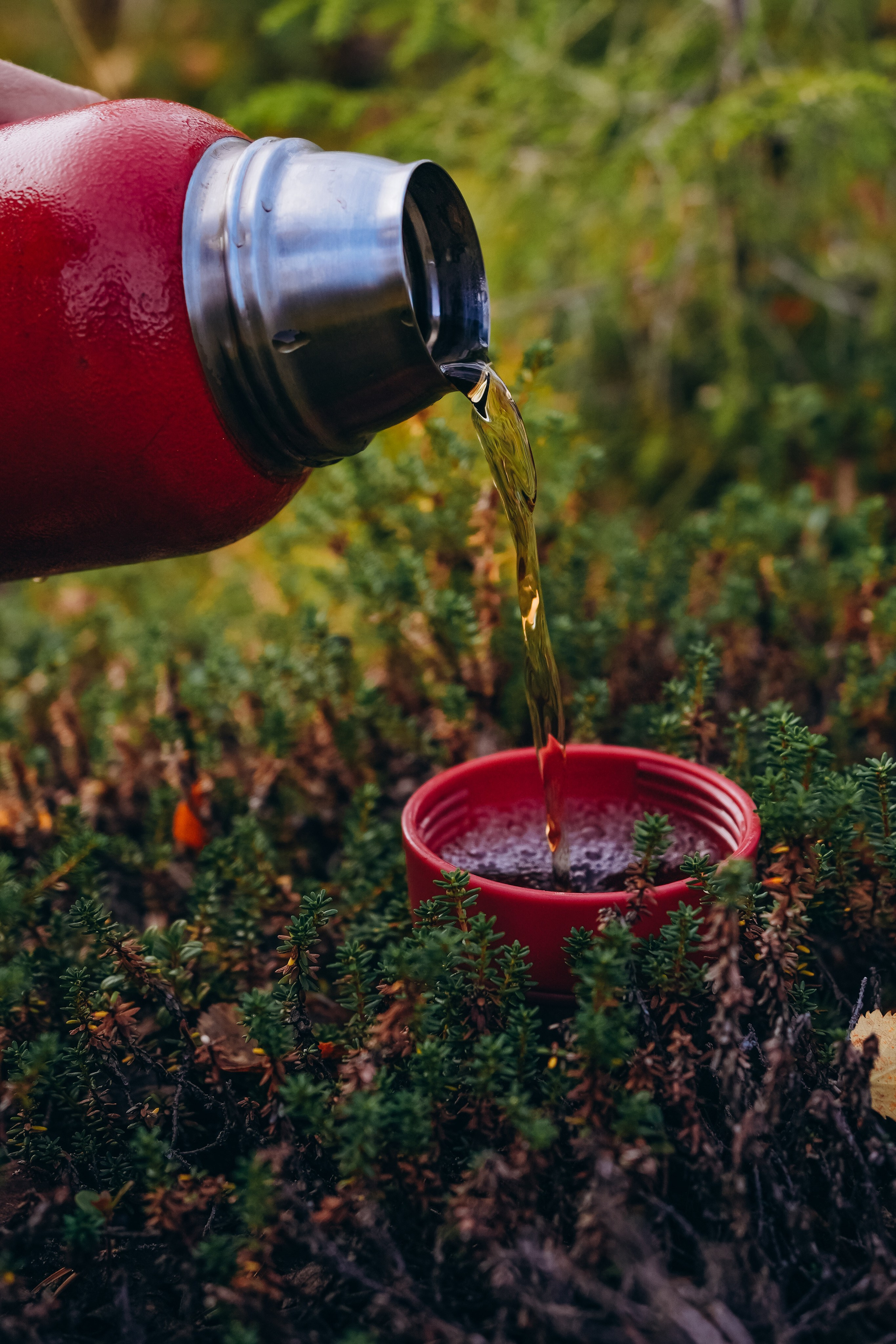 СЕВЕР. Event фотограф Степанова Александра