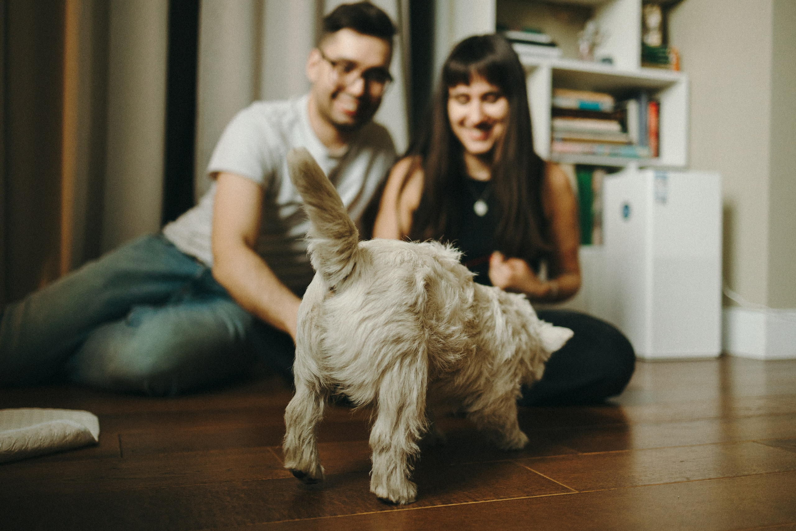 Снежуля, Мари и Саша. Фотограф анималист Анастасия Пикей
