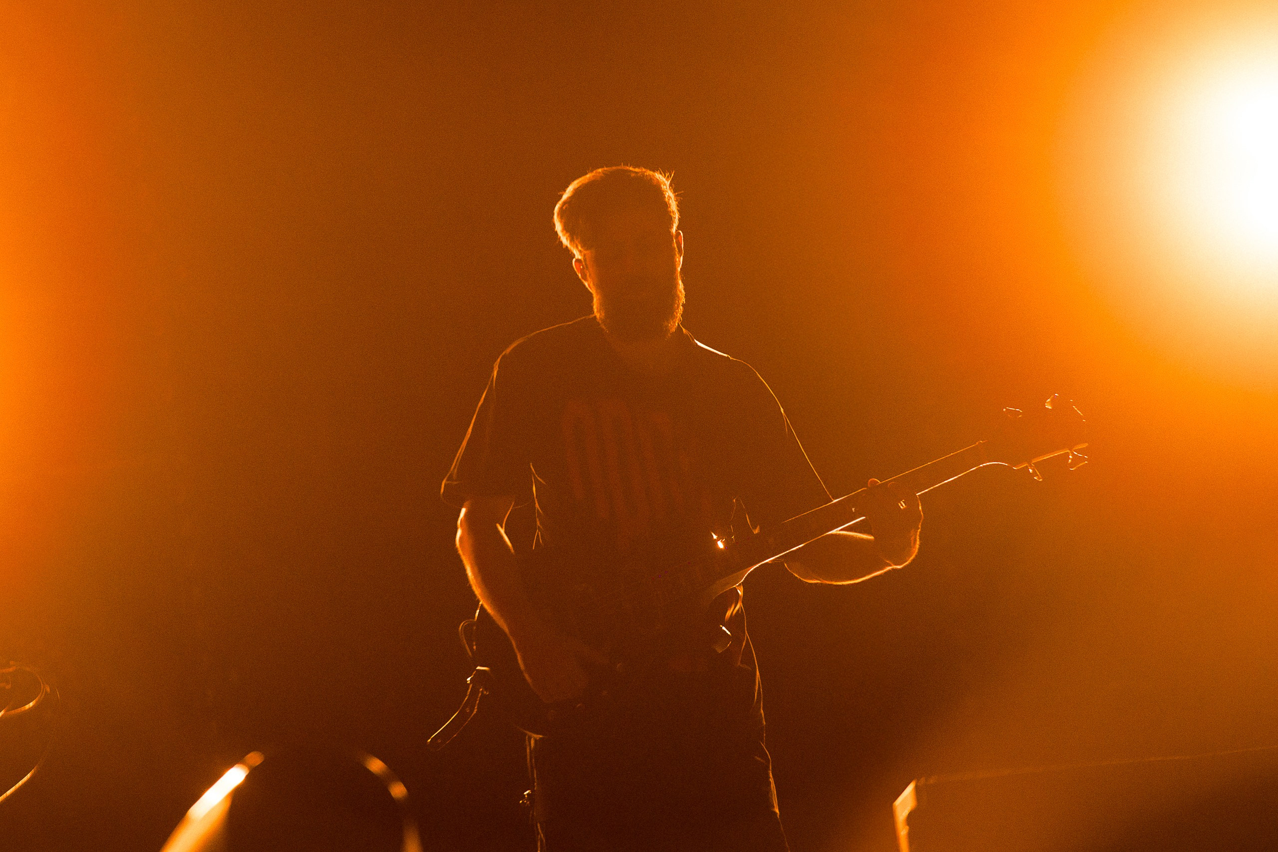 Звери 2025. Репортажный фотограф в Кемерово