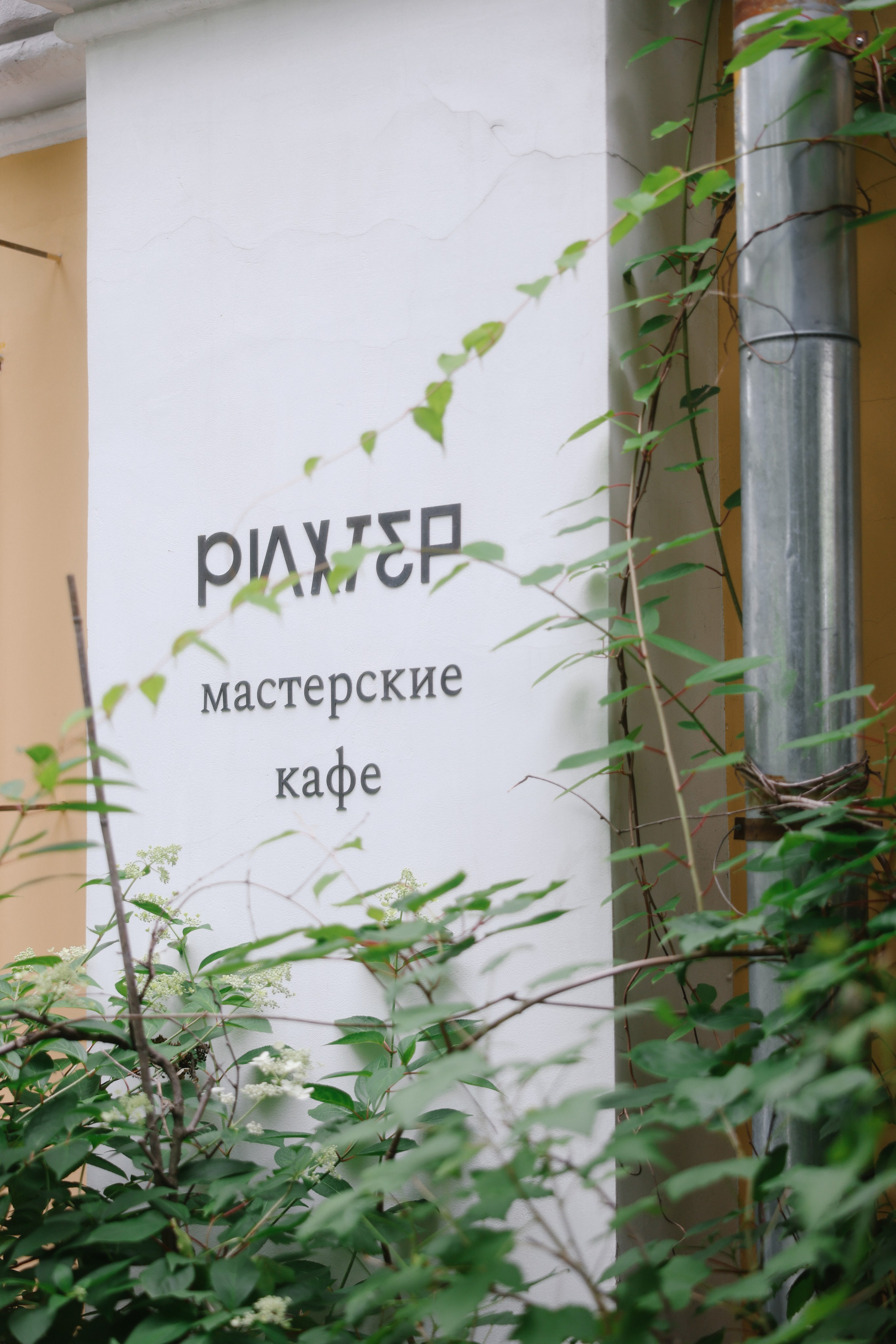 The sun. Свадебный фотограф Светлана Кот | Москва