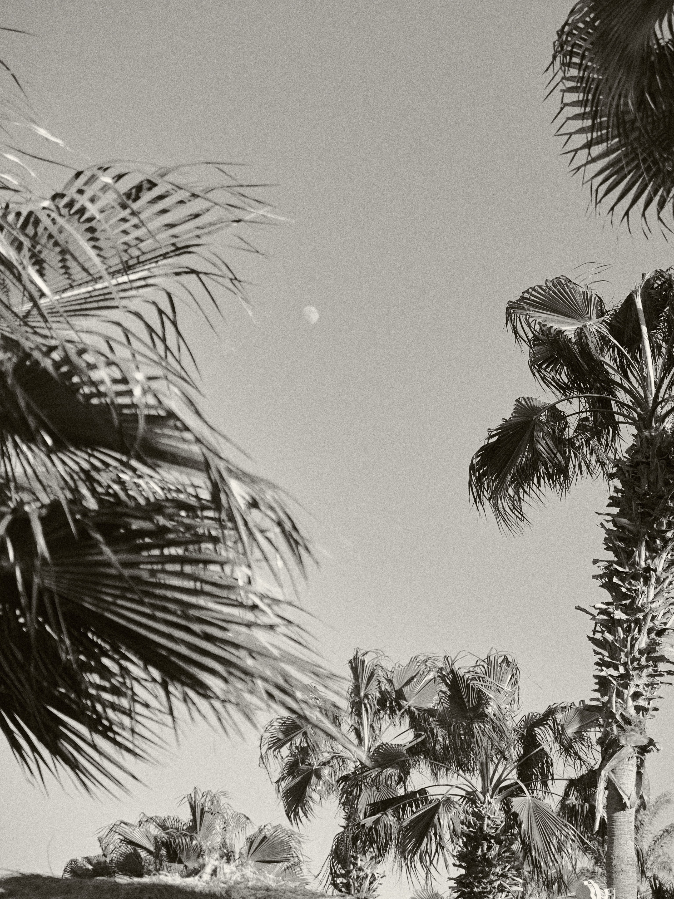 B&W. Jorgis — фотограф в Хургаде / обучение фотографии