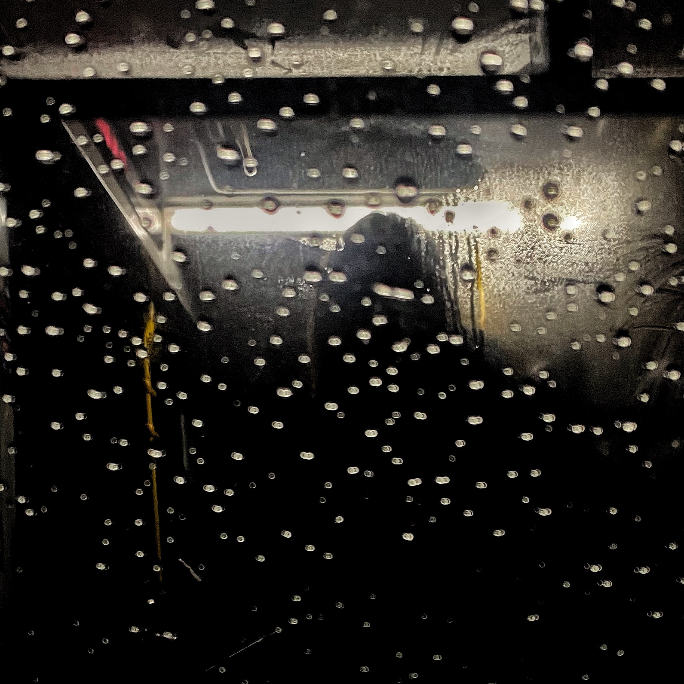 2025 год. Тащилин Сергей. Фотографии. Жизнь. Хобби