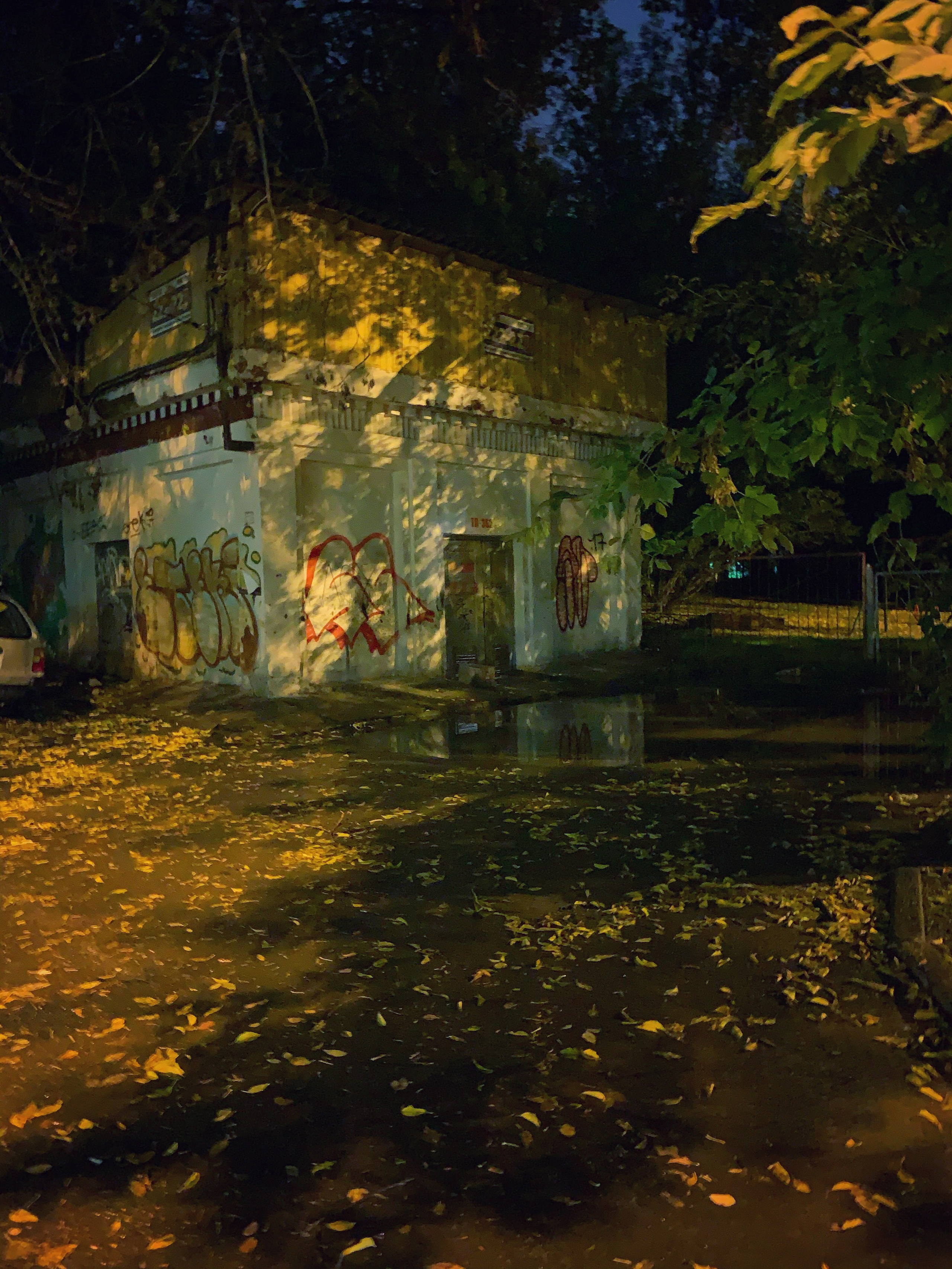 2020. Тащилин Сергей. Фотографии. Жизнь. Хобби