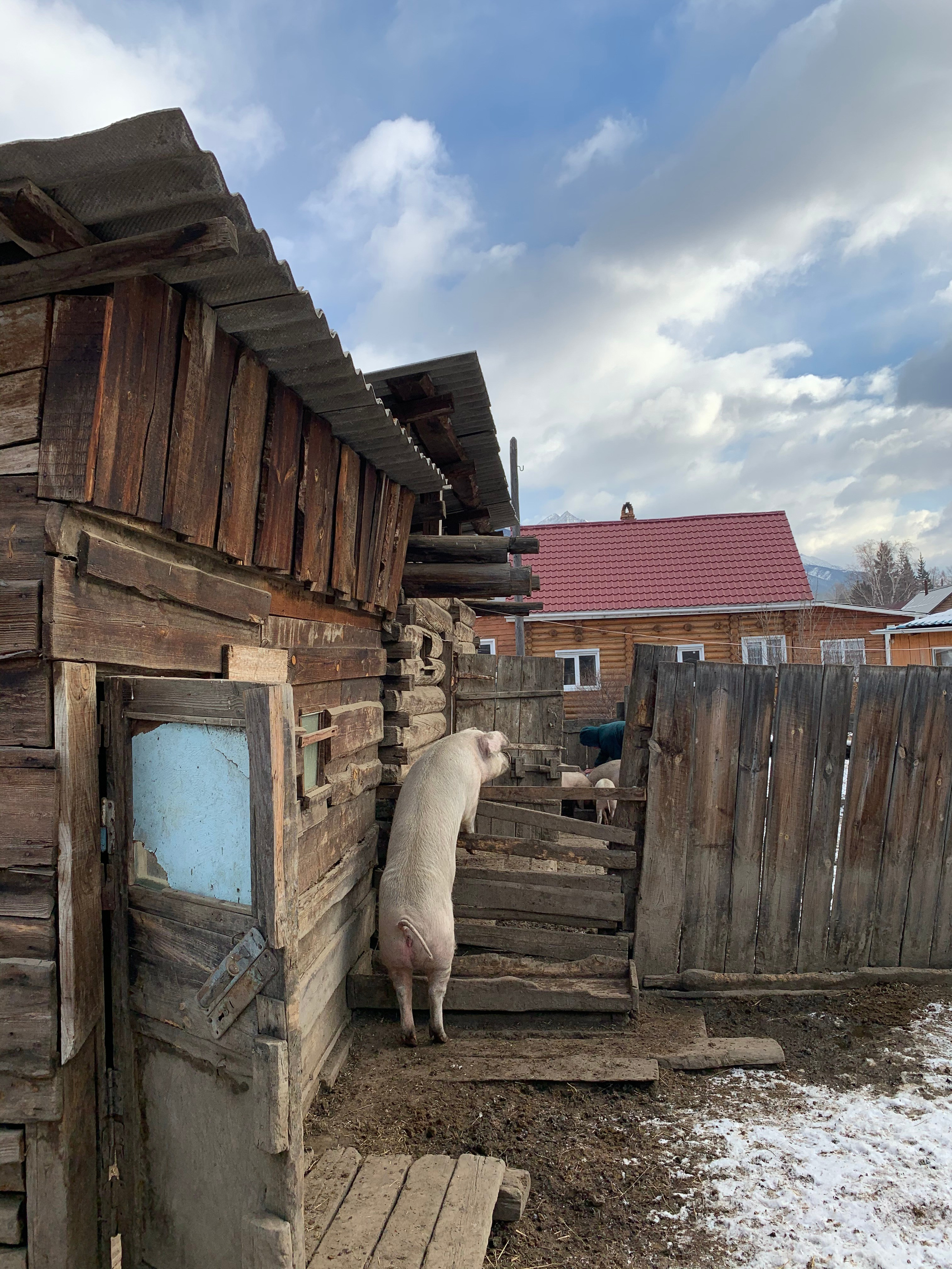 2020. Тащилин Сергей. Фотографии. Жизнь. Хобби