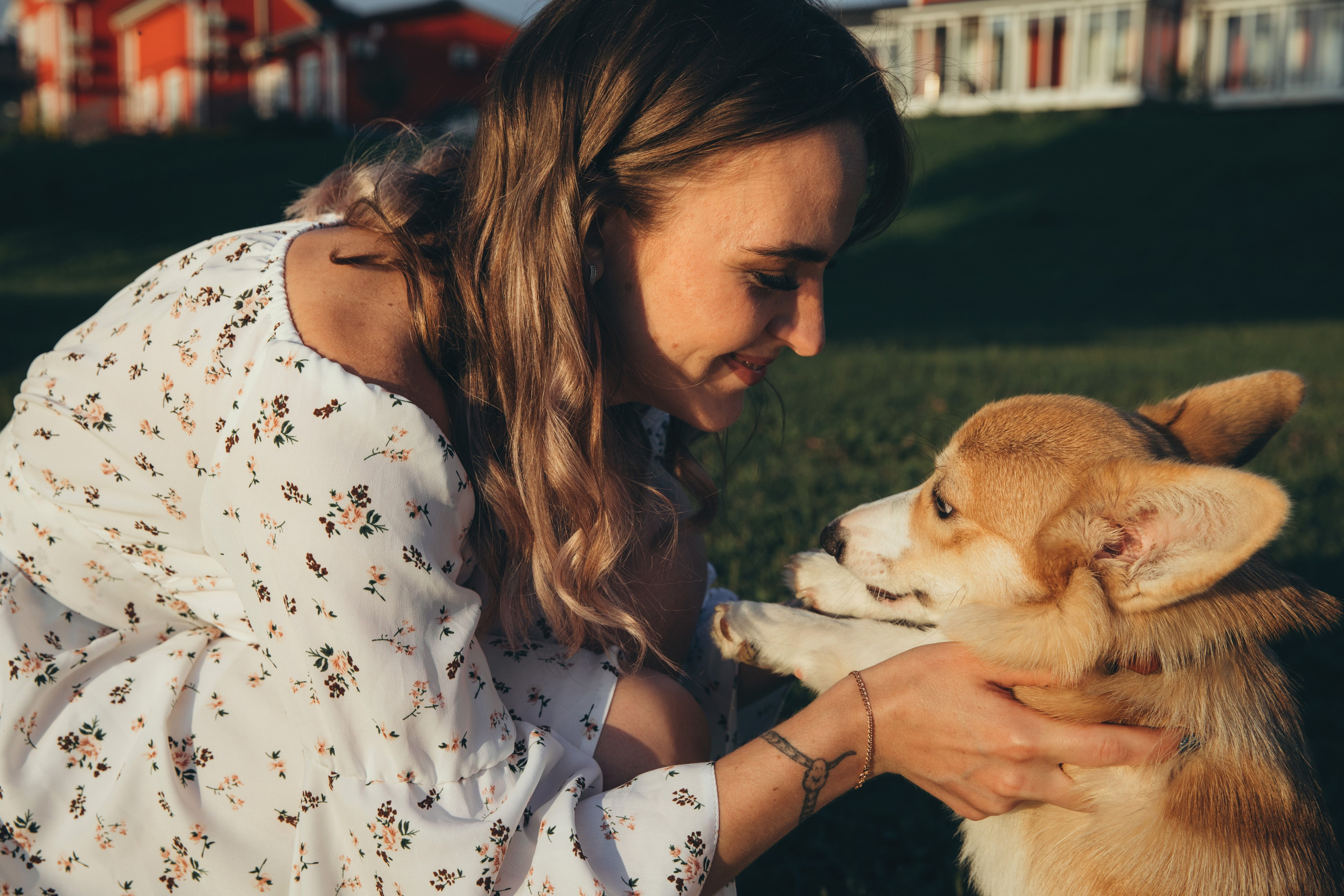 4 лапы, 2 пары ног и одно сердечко на троих ❤. Фотограф Анастасия Романова Рязань
