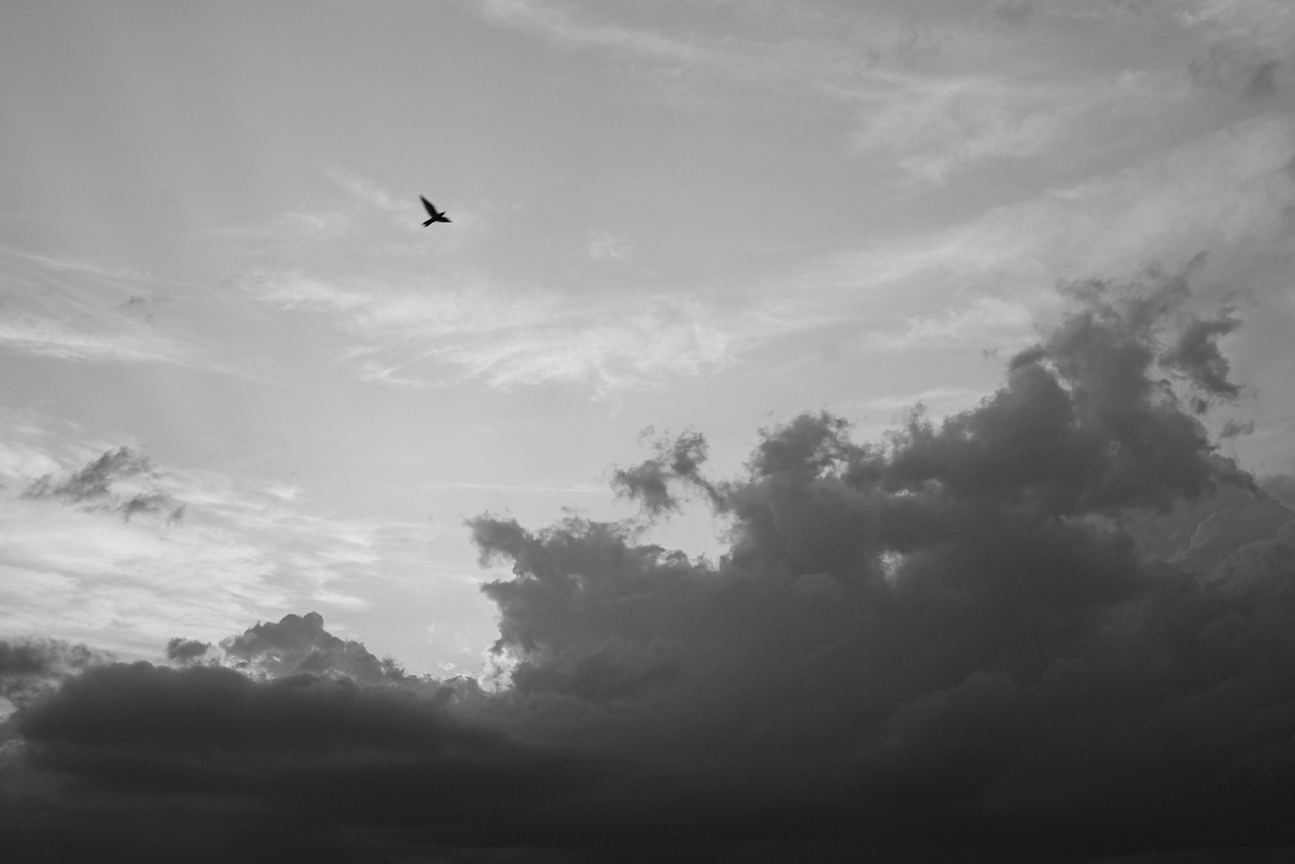 Орлиные скалы | Пятигорск. Главная