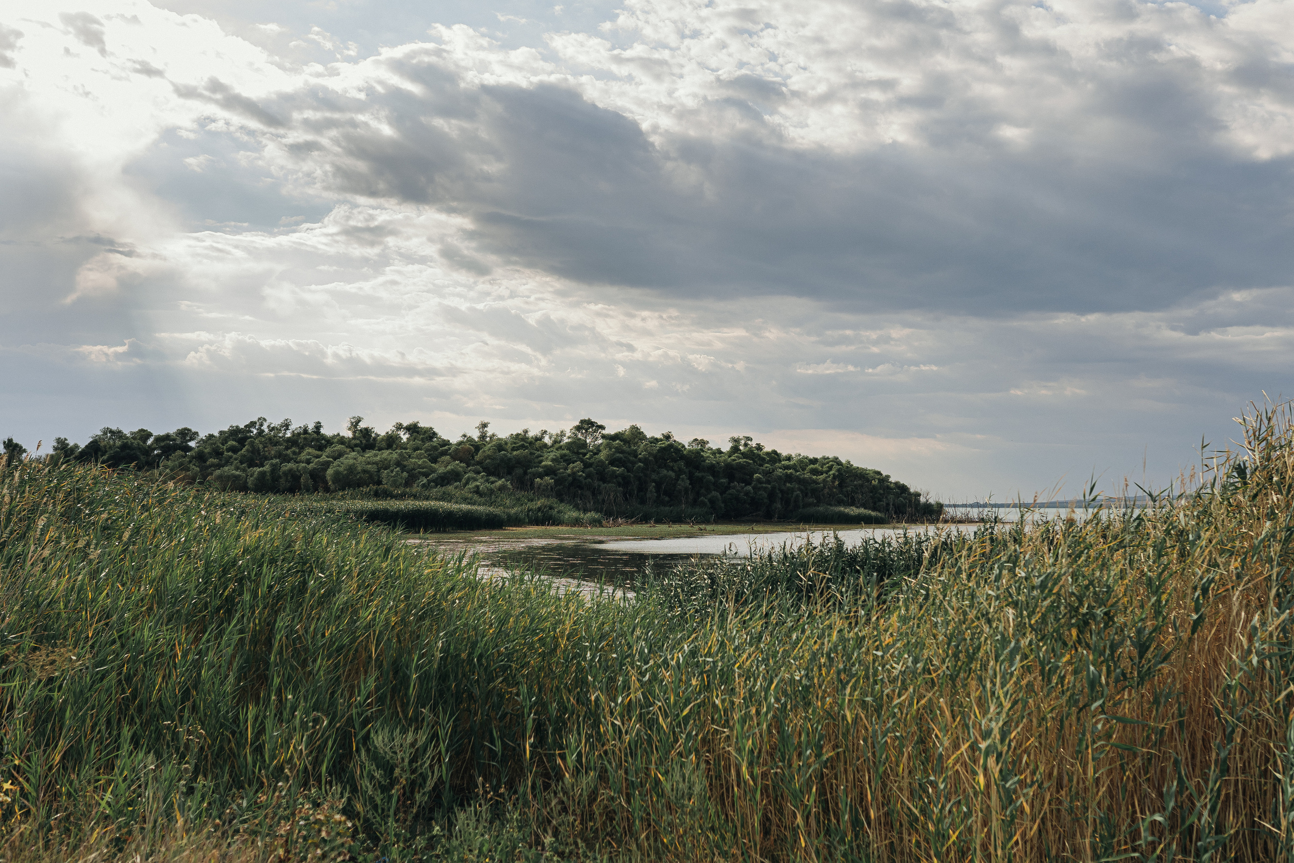 Family | Карабановы. Главная