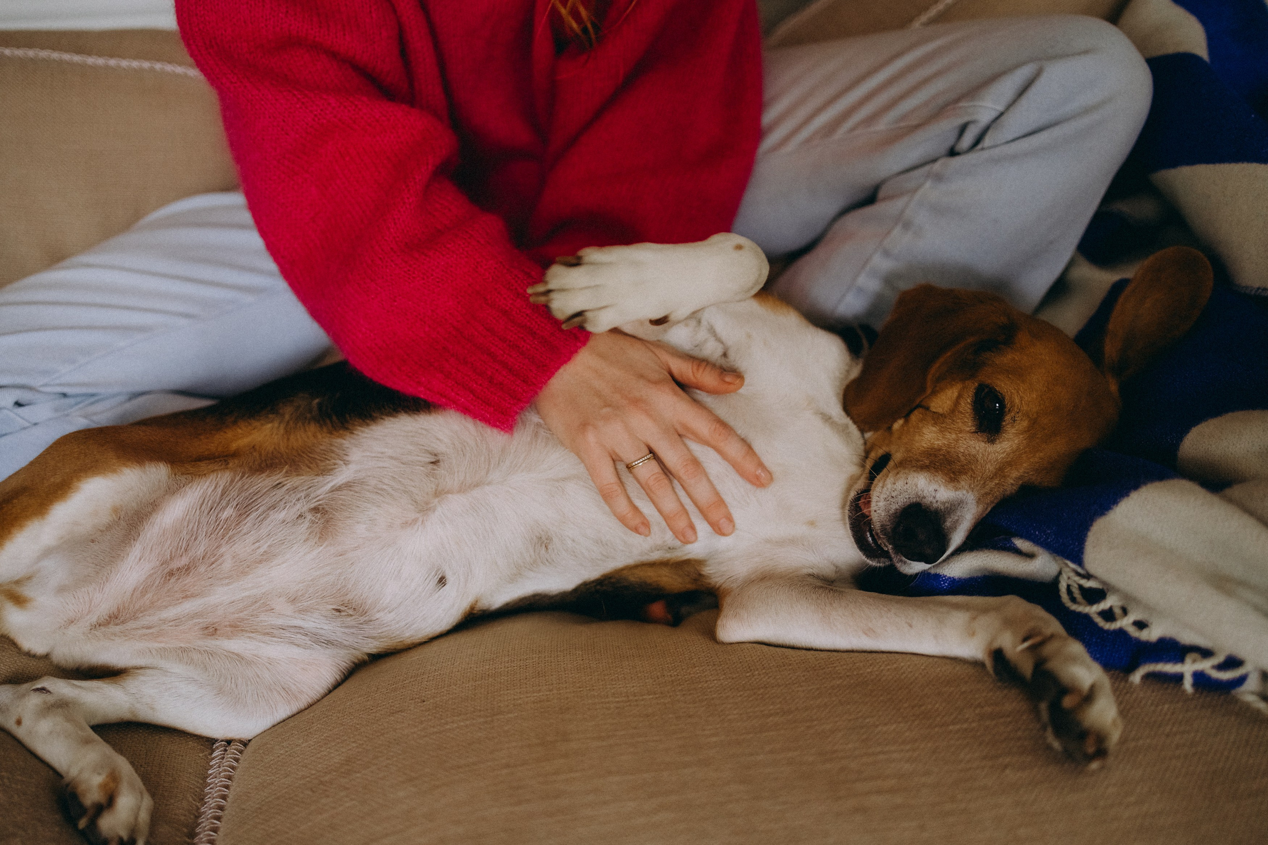 Инна и Ханна. Главная