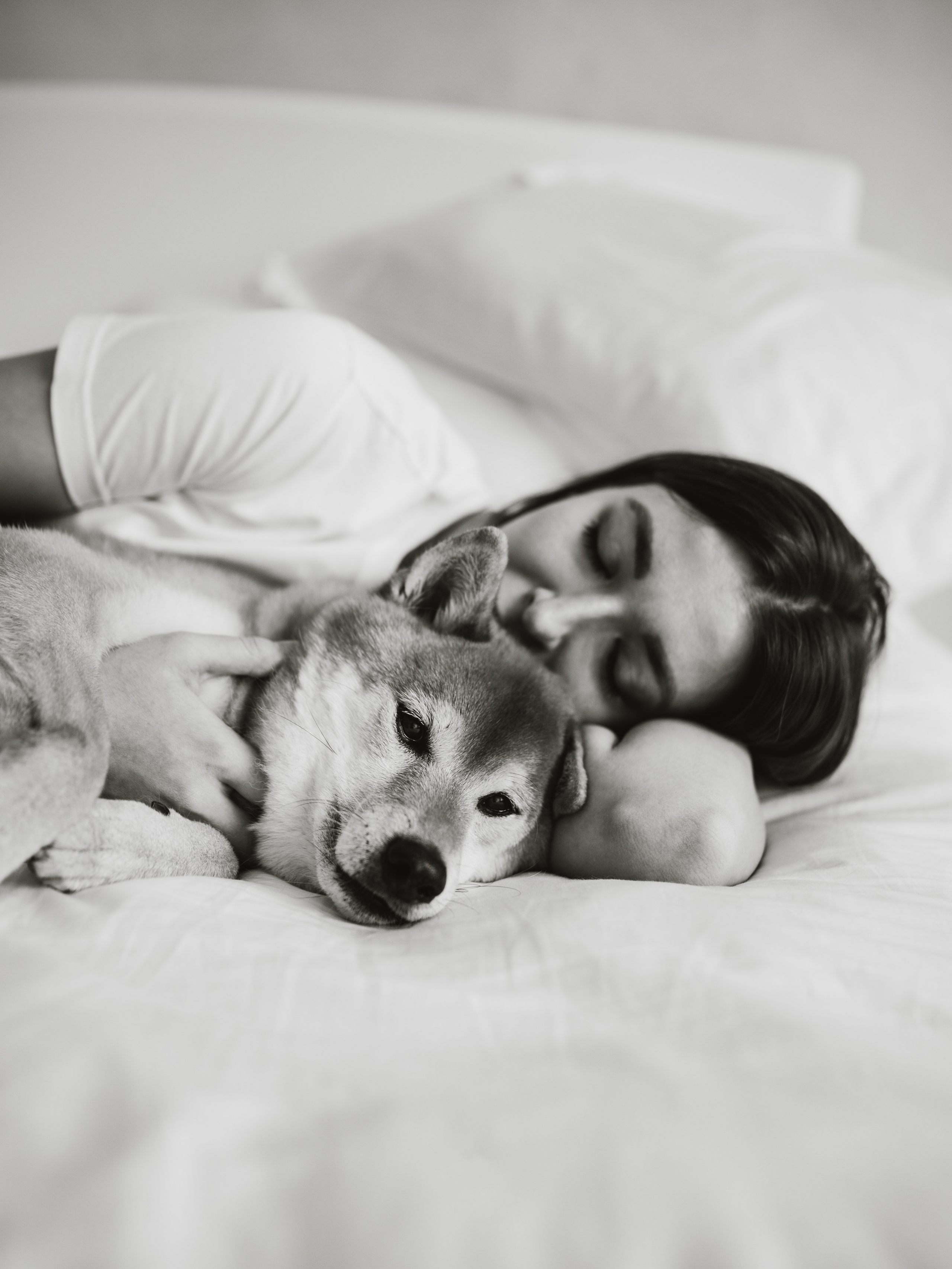 День рождения Кексика. Семейный фотограф анималист Ананьева Мария — Москва