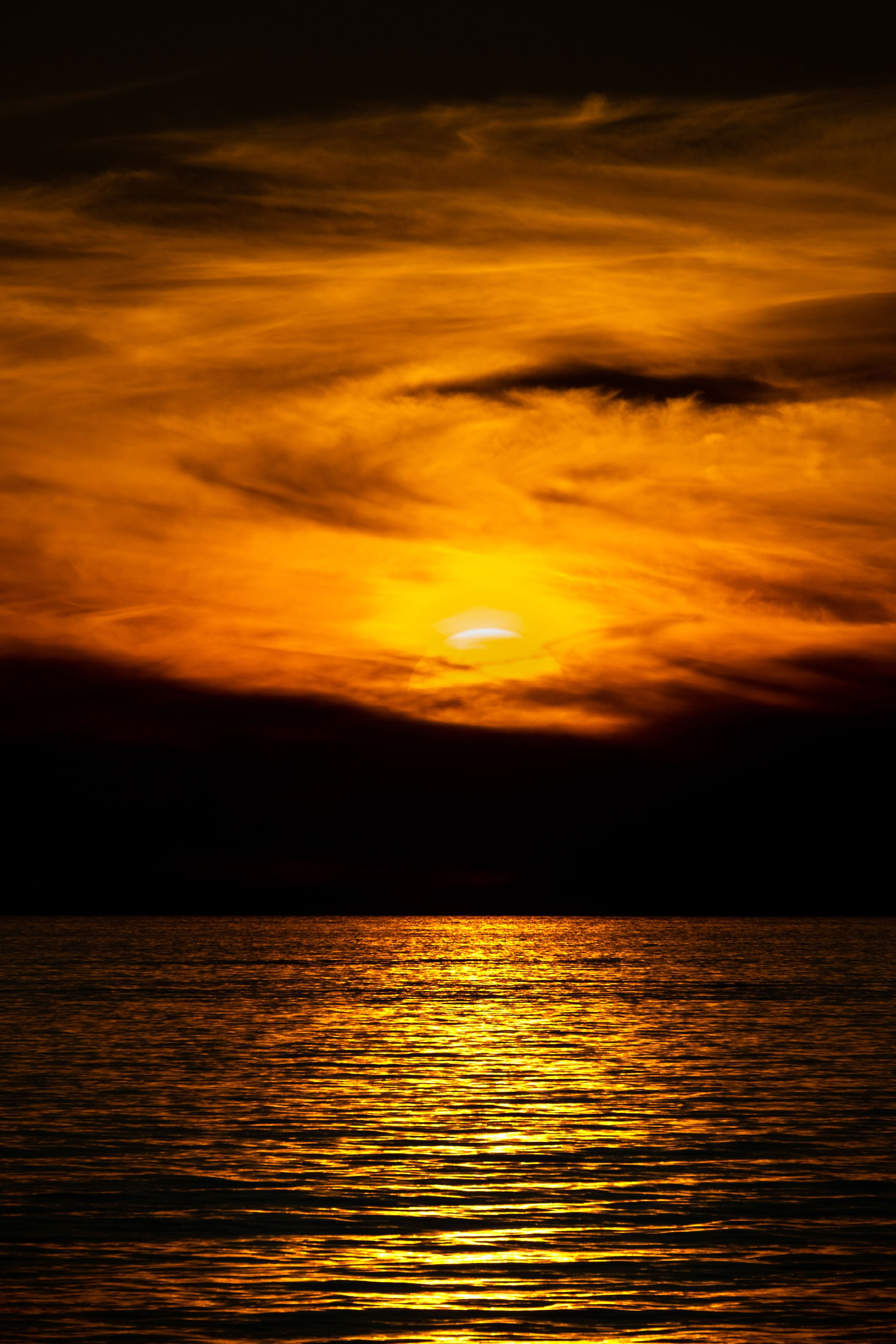 Свадебный фотограф  Геленджик