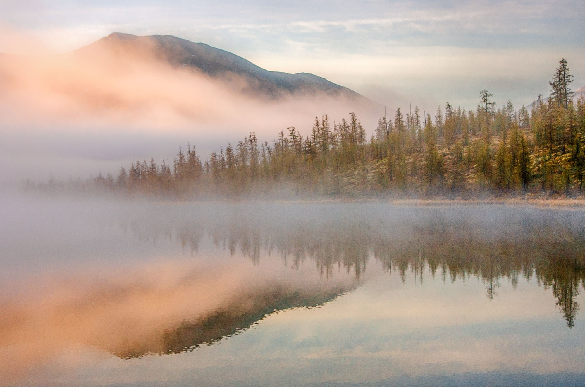 Свадебный фотограф в Геленджике