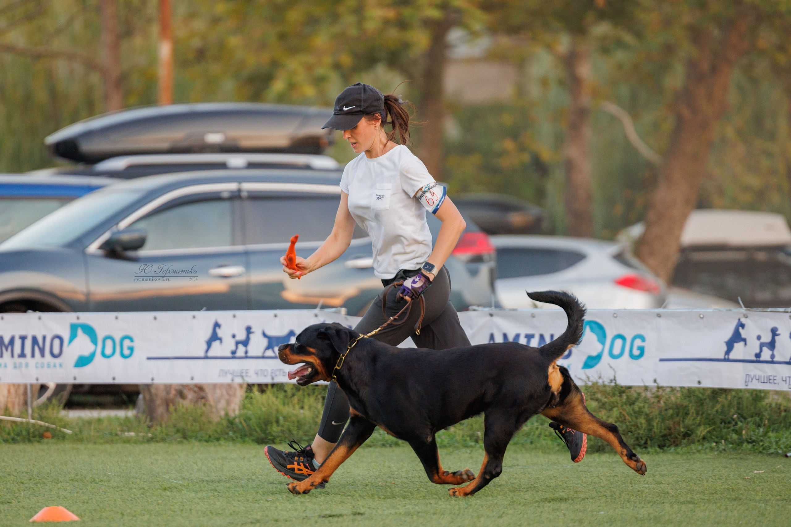 Анапа ротвейлеры 14-15.09.2024. Фотограф-анималист Юлия Германика