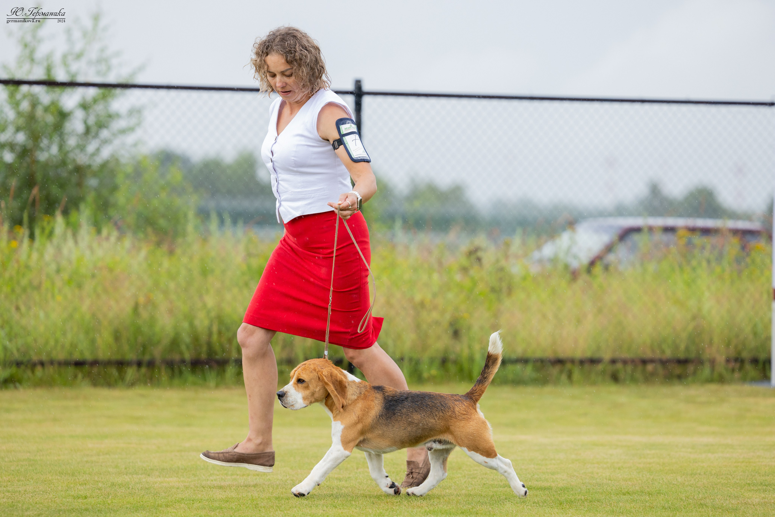 Ярославль 21.07.24 и Балашиха 13.07.24. Фотограф-анималист Юлия Германика