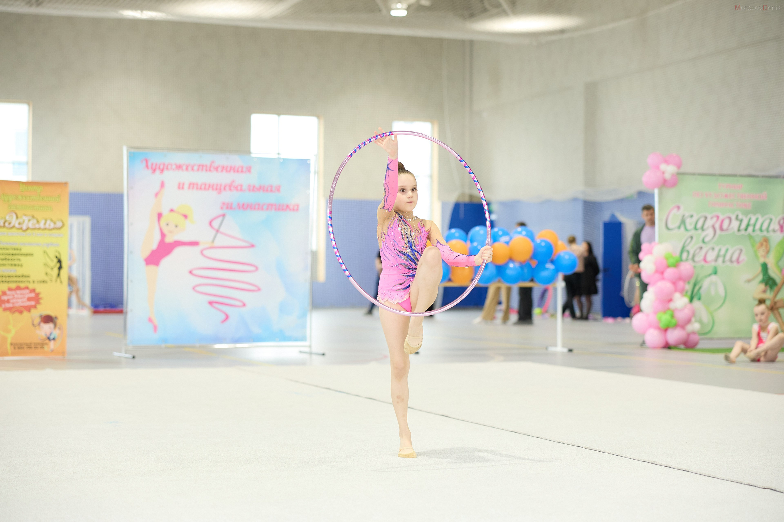 Художественная гимнастика