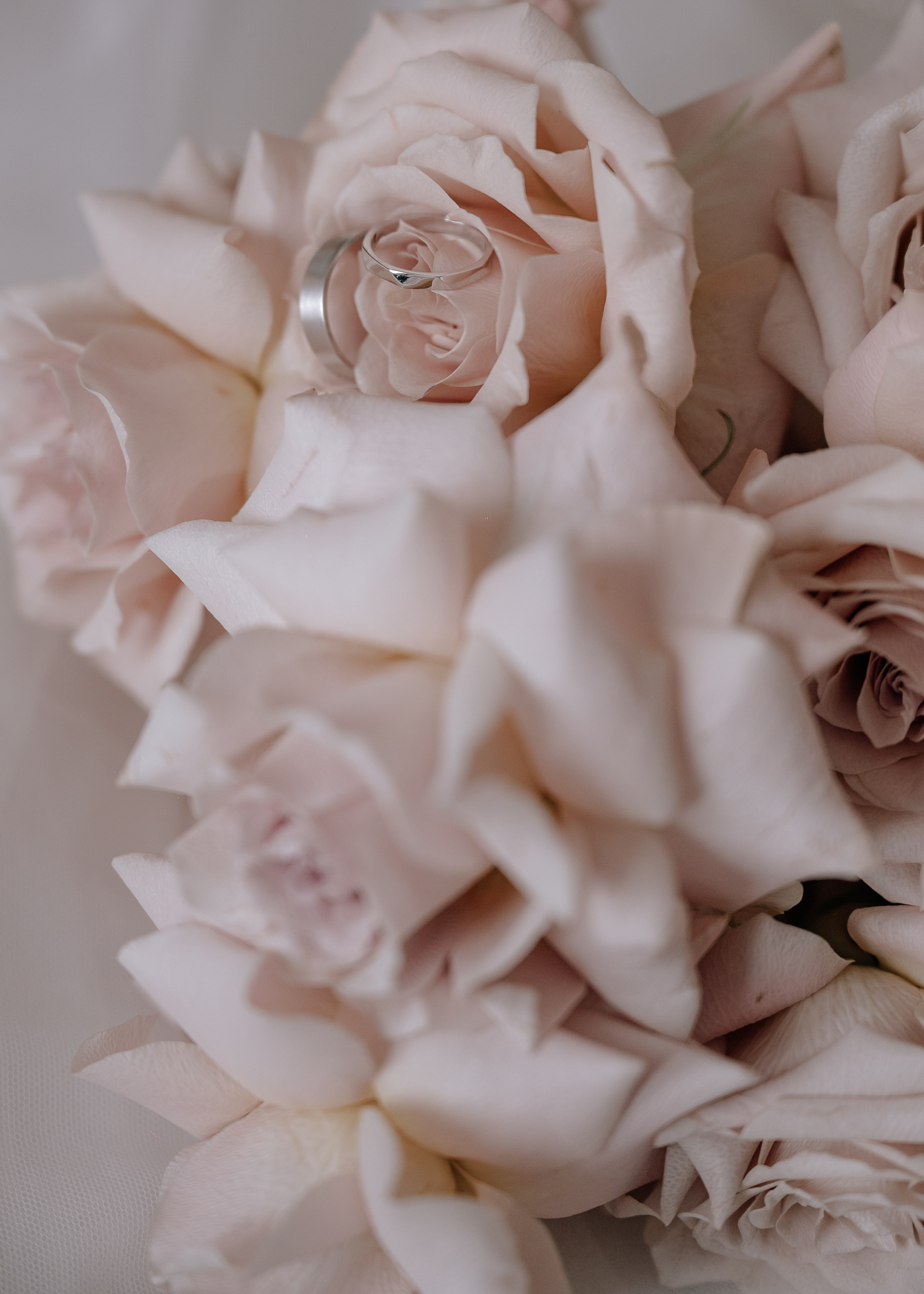 Никита & Мария 2024. Фотограф Москва. Шульгинова Ольга